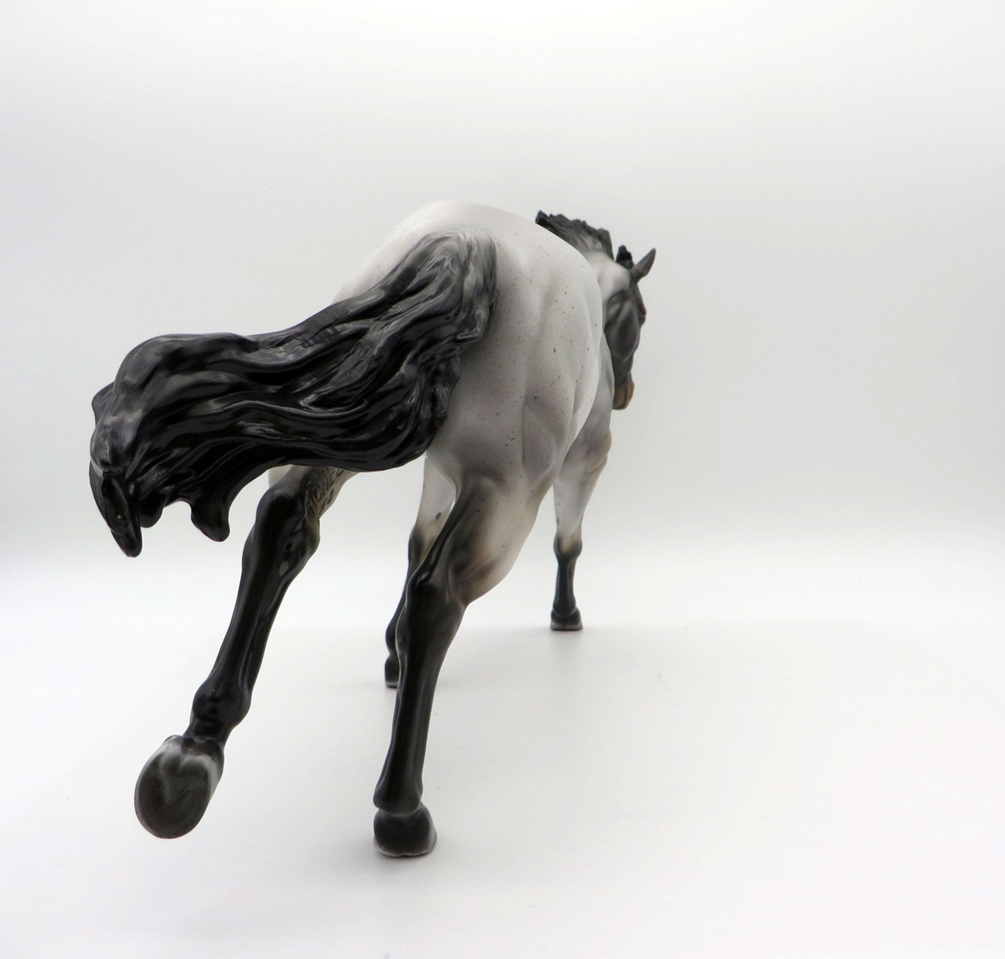 Blue Thunder-LE-? Blue Roan Running Stock Photo Show Special EQ 21