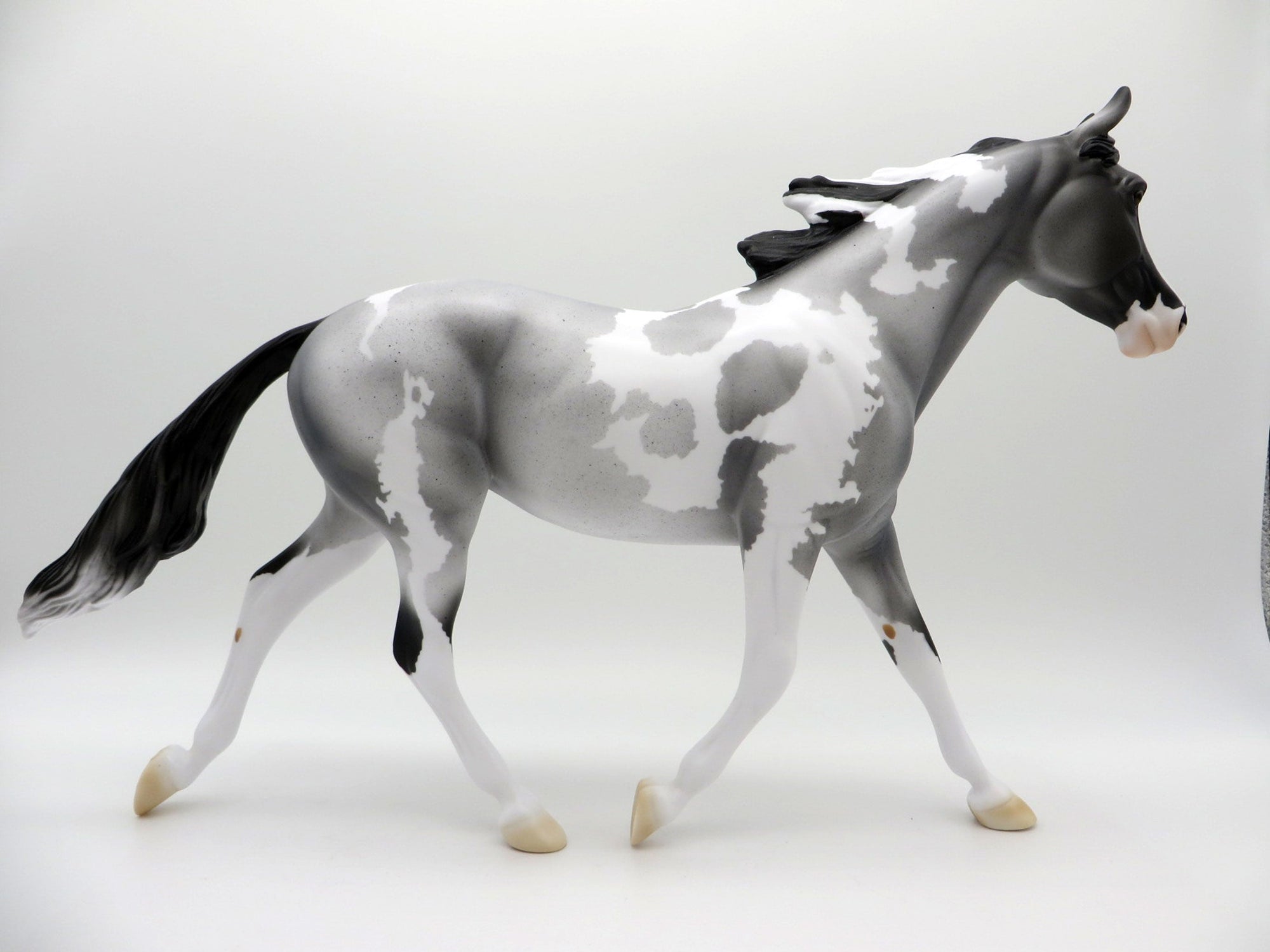 BLUE VELVET SHOES-LE-5 BLUE ROAN PAINT PALOUSE 3/26/21