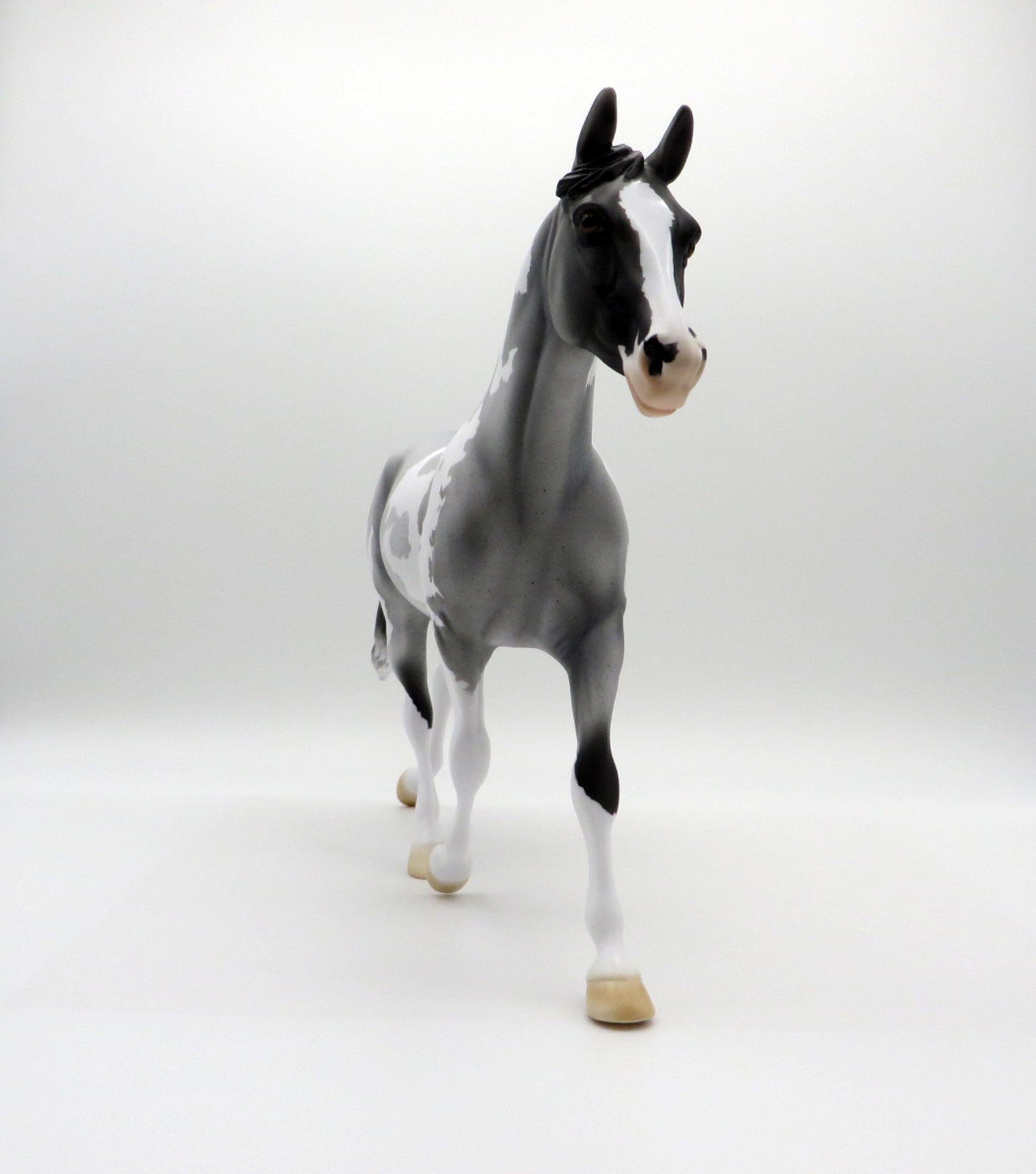 BLUE VELVET SHOES-LE-5 BLUE ROAN PAINT PALOUSE 3/26/21