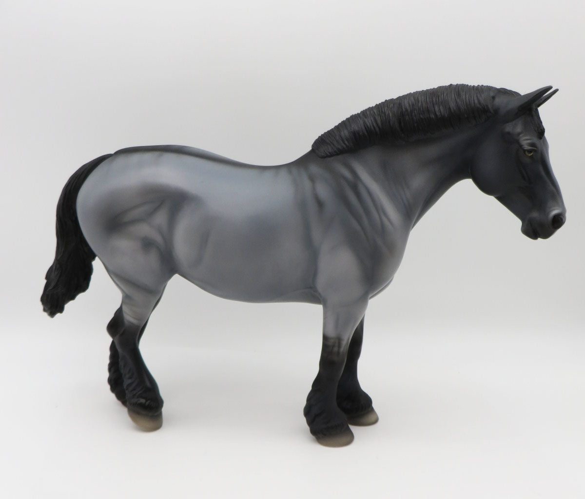 Blue-LE-15 - Maine Coon Inspired Heavy Draft By Anglea Marleau P&amp;C 23