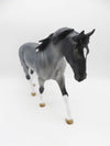 Stanley - OOAK - Minimal Tobiano Blue Roan By Angela Marleau - P&amp;C 23