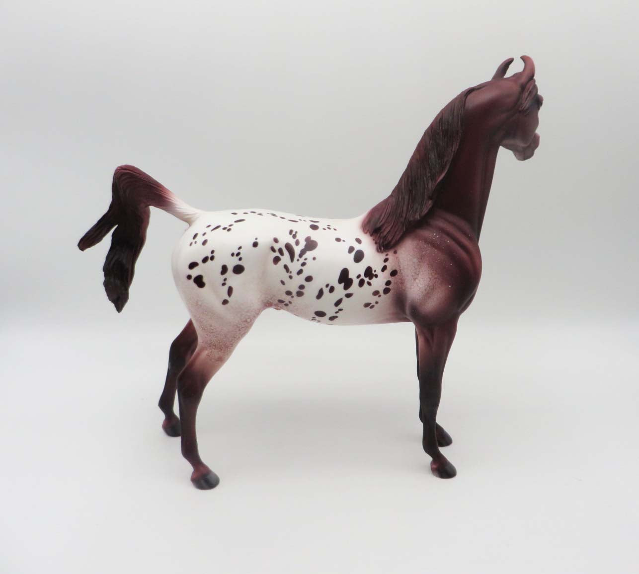 Boone - OOAK - Chestnut Appaloosa Arabian By Dawn Quick - SHCF23