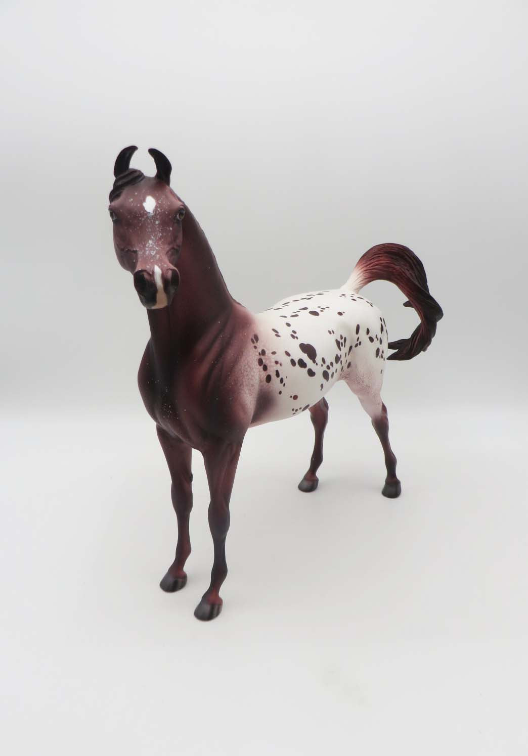 Boone - OOAK - Chestnut Appaloosa Arabian By Dawn Quick - SHCF23