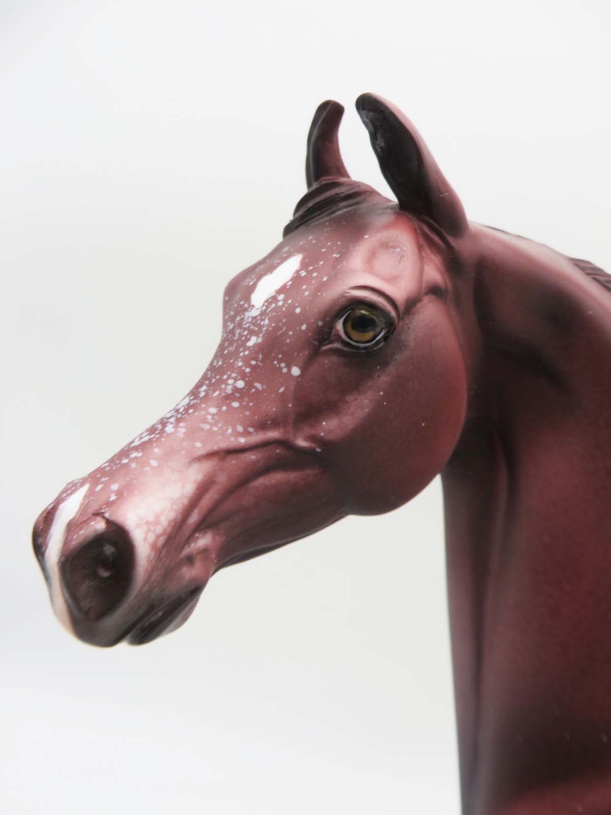 Boone - OOAK - Chestnut Appaloosa Arabian By Dawn Quick - SHCF23
