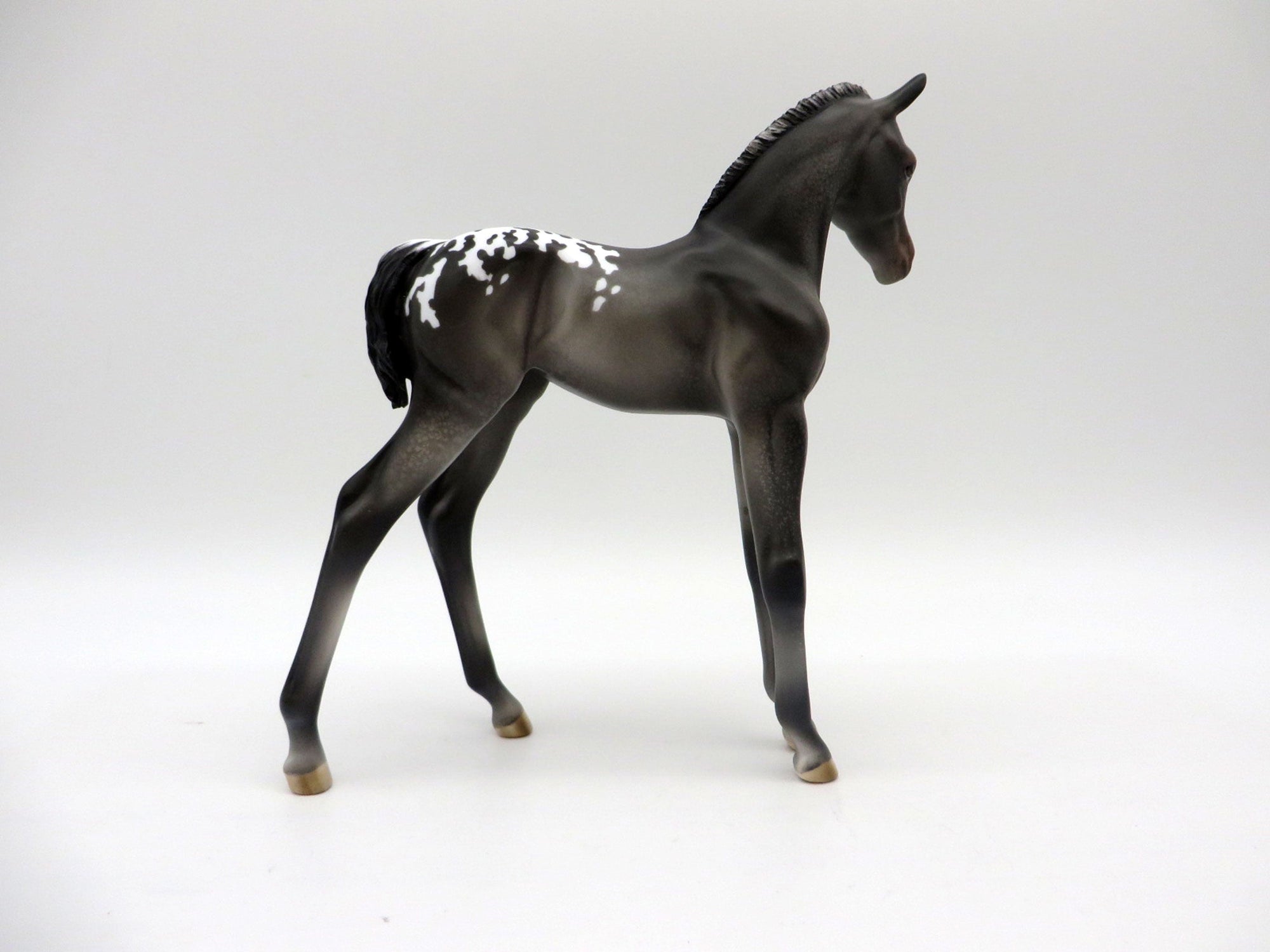 Bram-OOAK Black Appaloosa Foal Painted by Julie EQ 21