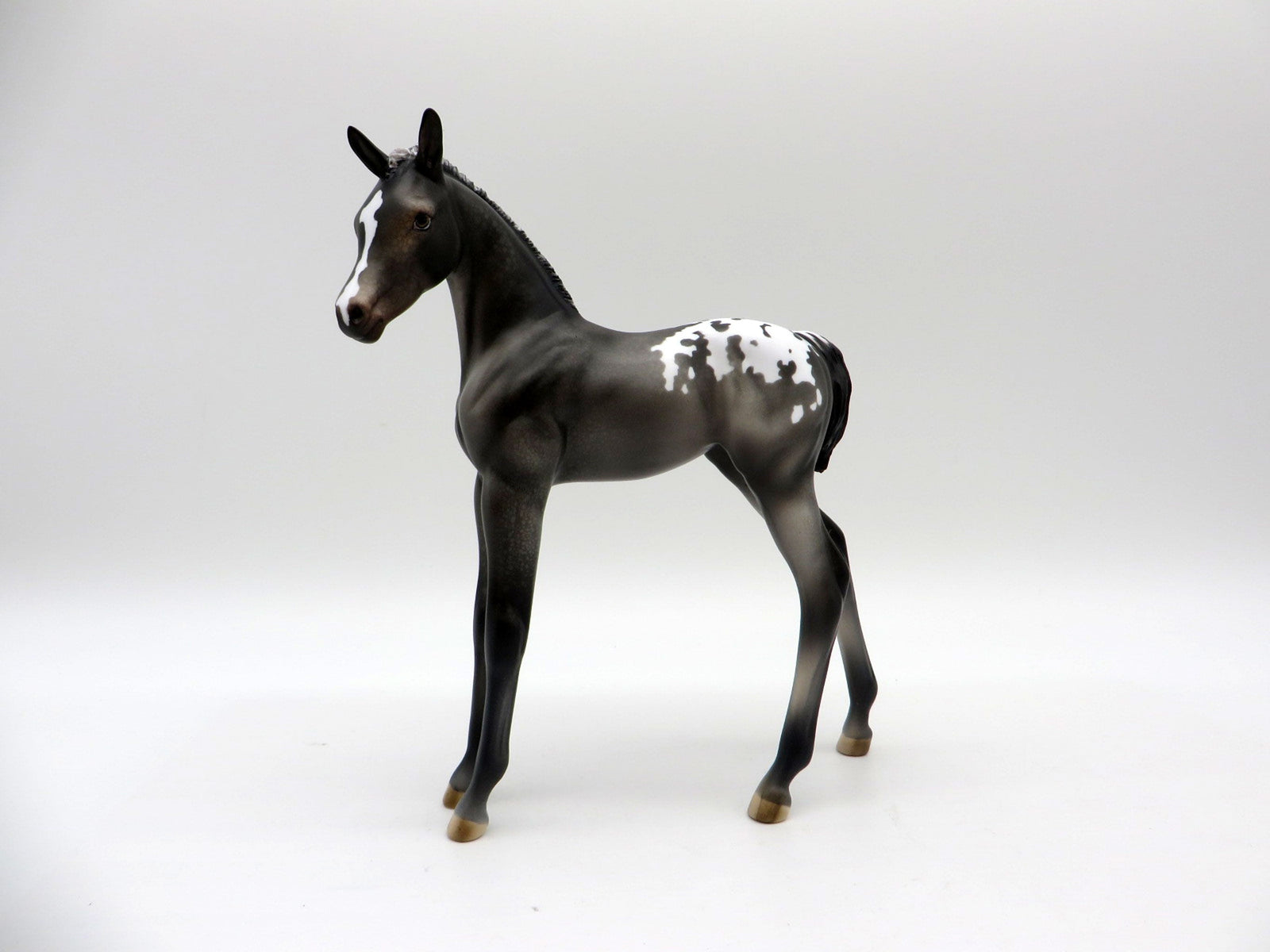 Bram-OOAK Black Appaloosa Foal Painted by Julie EQ 21