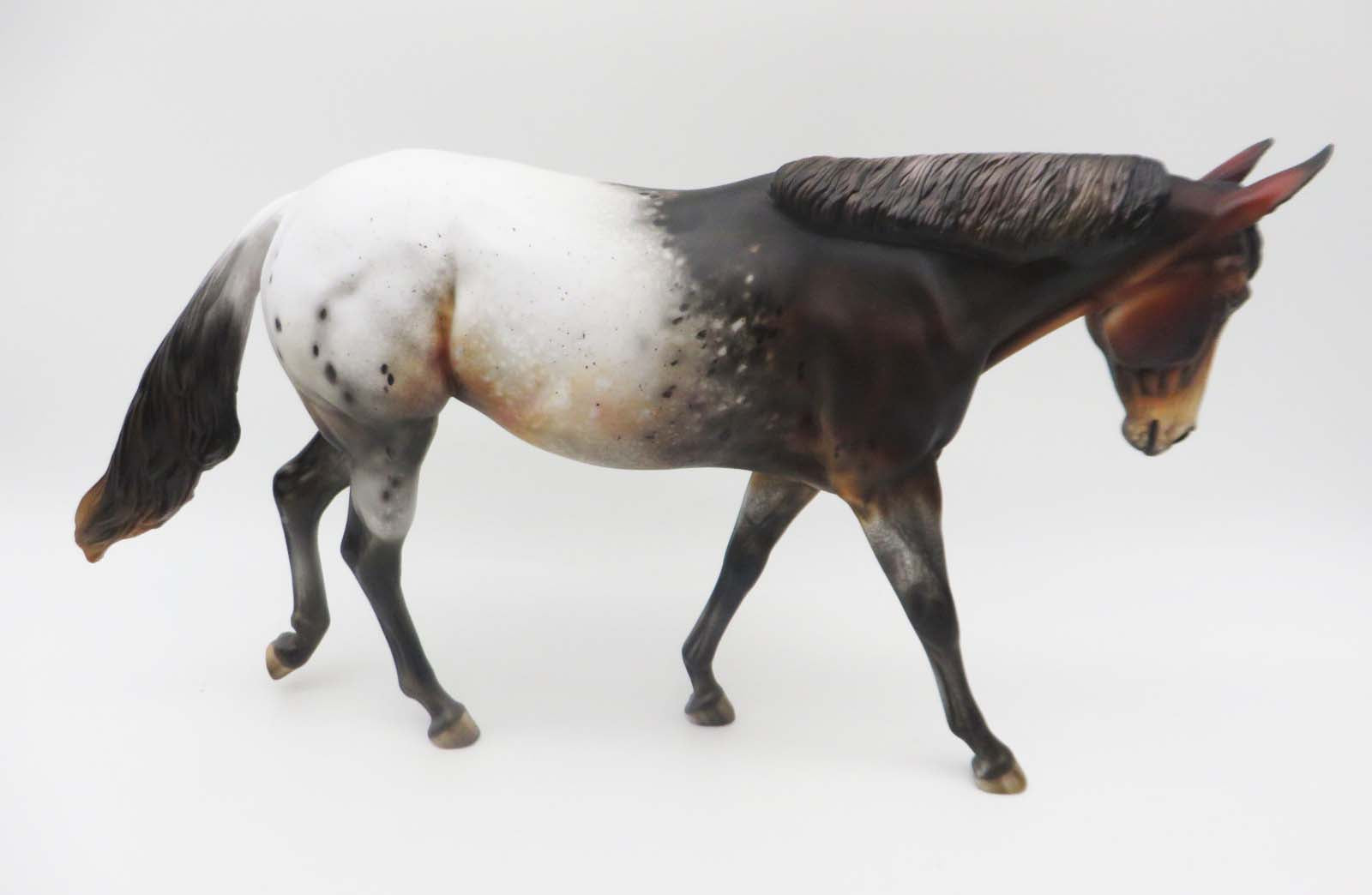 Imogene - OOAK - Bay Appaloosa Mule by Julie Keim - Best Offers 2/12/23 P&C 23