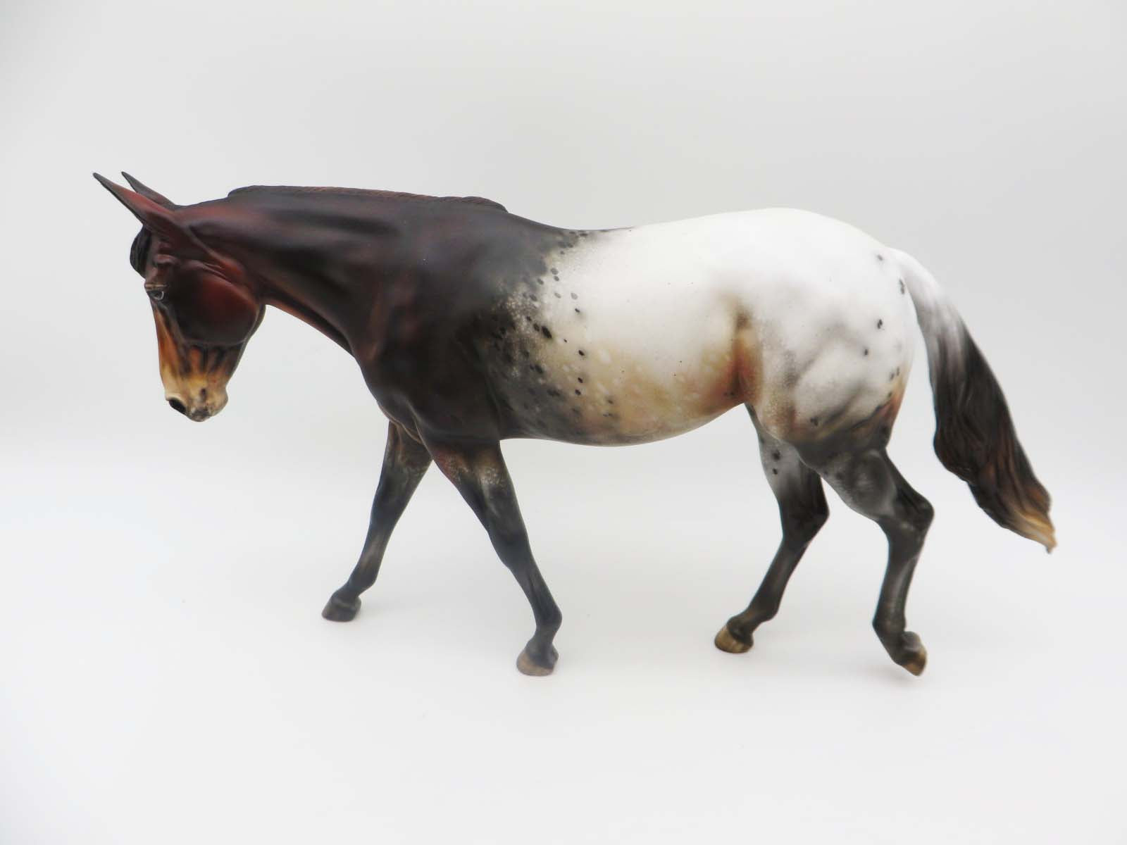 Imogene - OOAK - Bay Appaloosa Mule by Julie Keim - Best Offers 2/12/23 P&amp;C 23