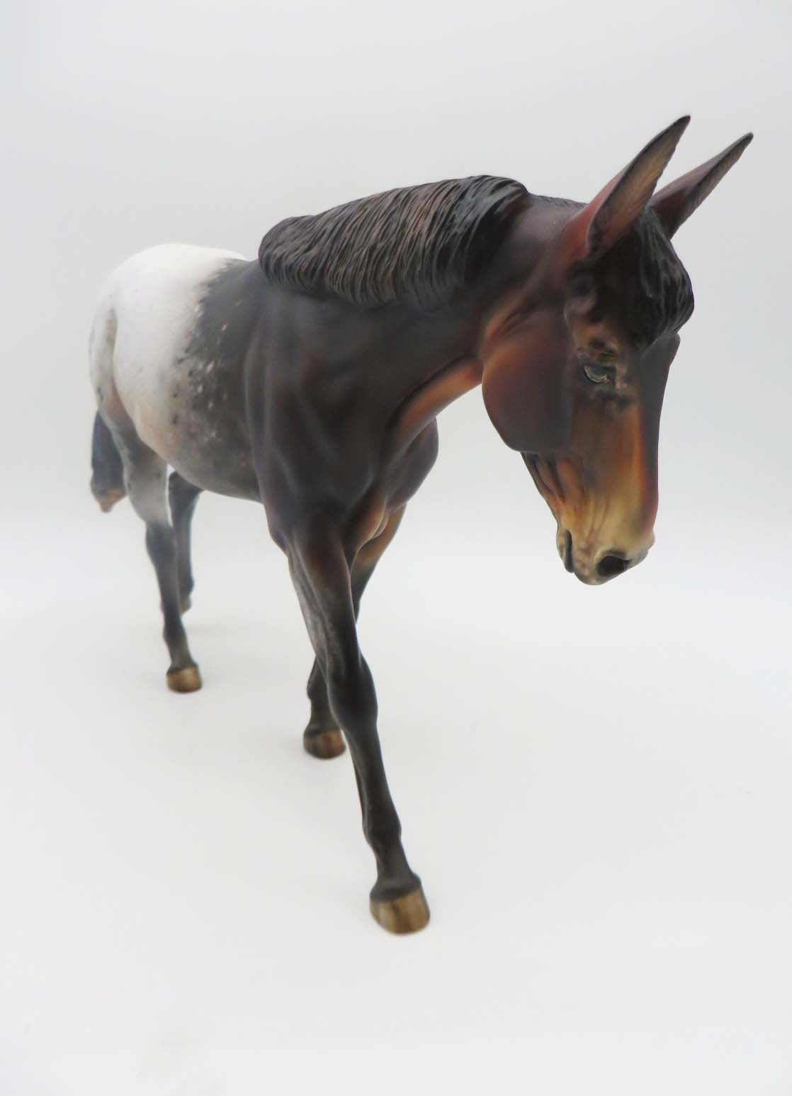 Imogene - OOAK - Bay Appaloosa Mule by Julie Keim - Best Offers 2/12/23 P&amp;C 23