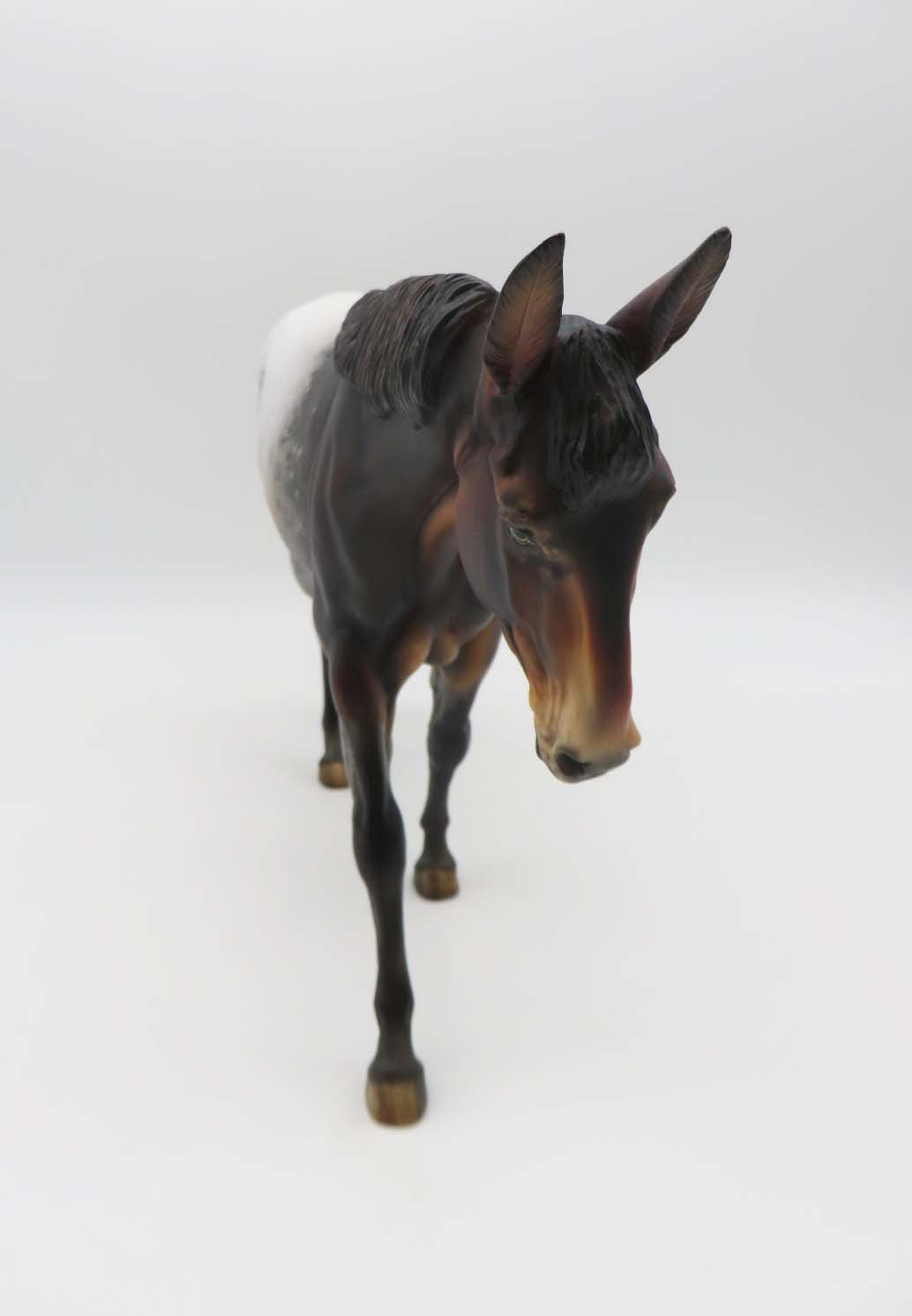 Imogene - OOAK - Bay Appaloosa Mule by Julie Keim - Best Offers 2/12/23 P&amp;C 23