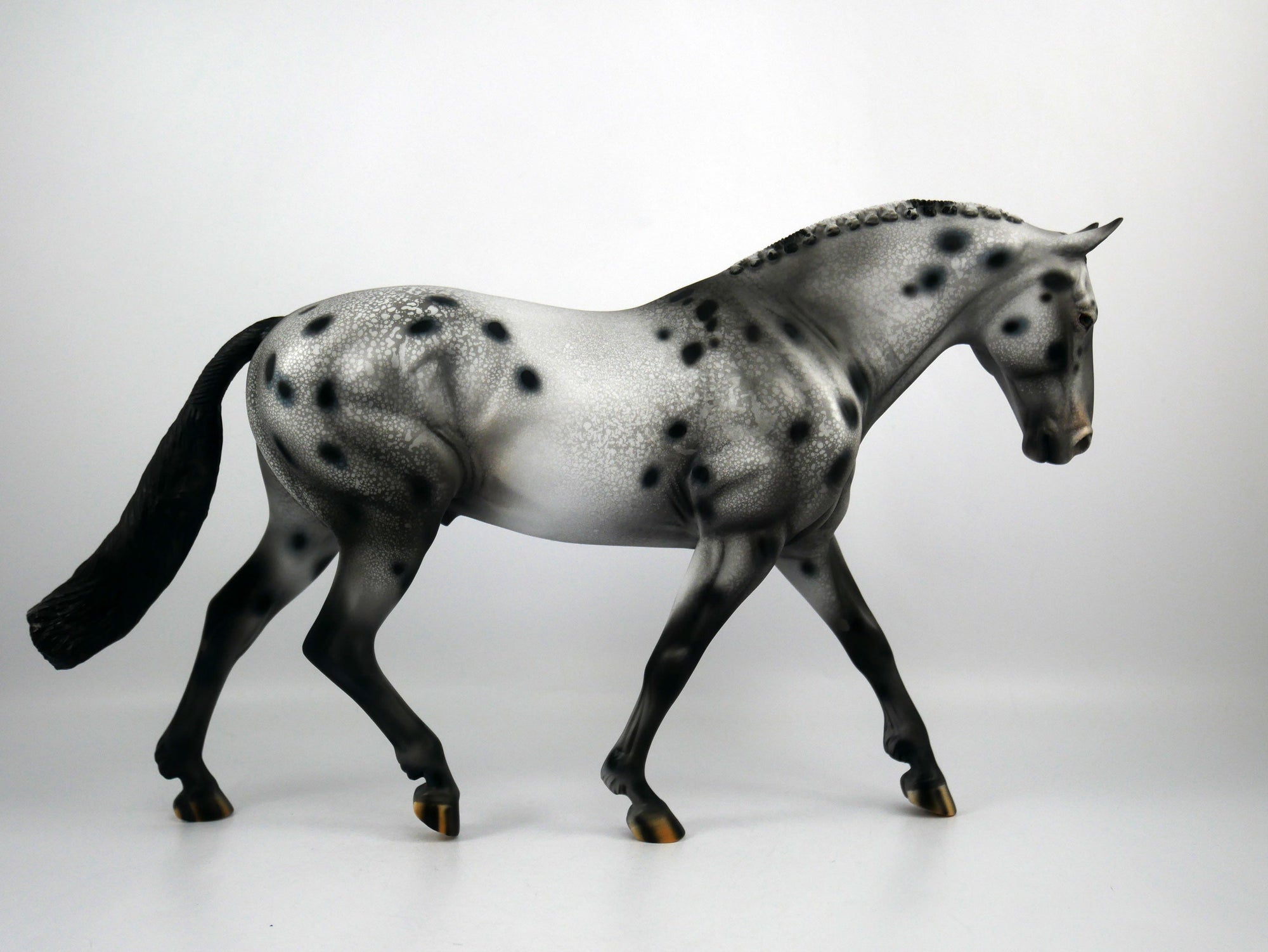 Breaking Benjamin-OOAK Appaloosa Irish Drafter 1/8/21