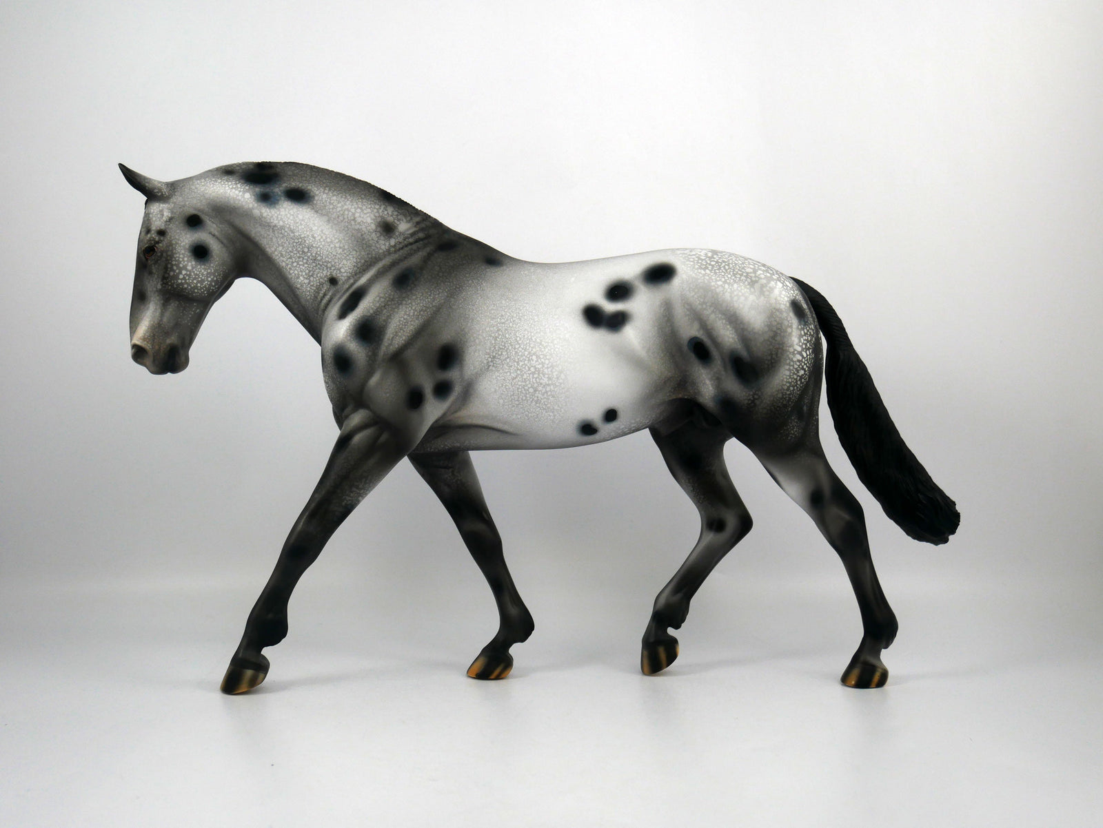 Breaking Benjamin-OOAK Appaloosa Irish Drafter 1/8/21