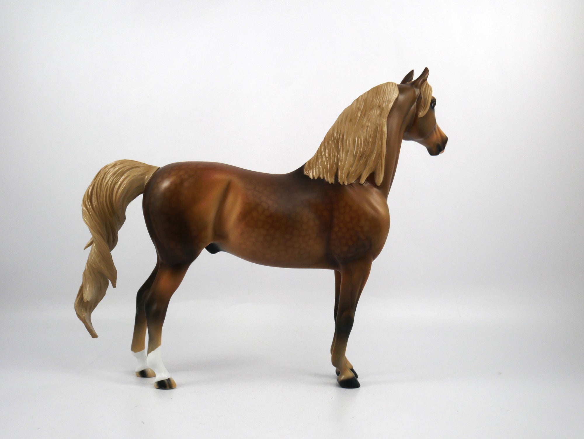 Brees-LE-15 Dapple Chestnut Morgan SB21