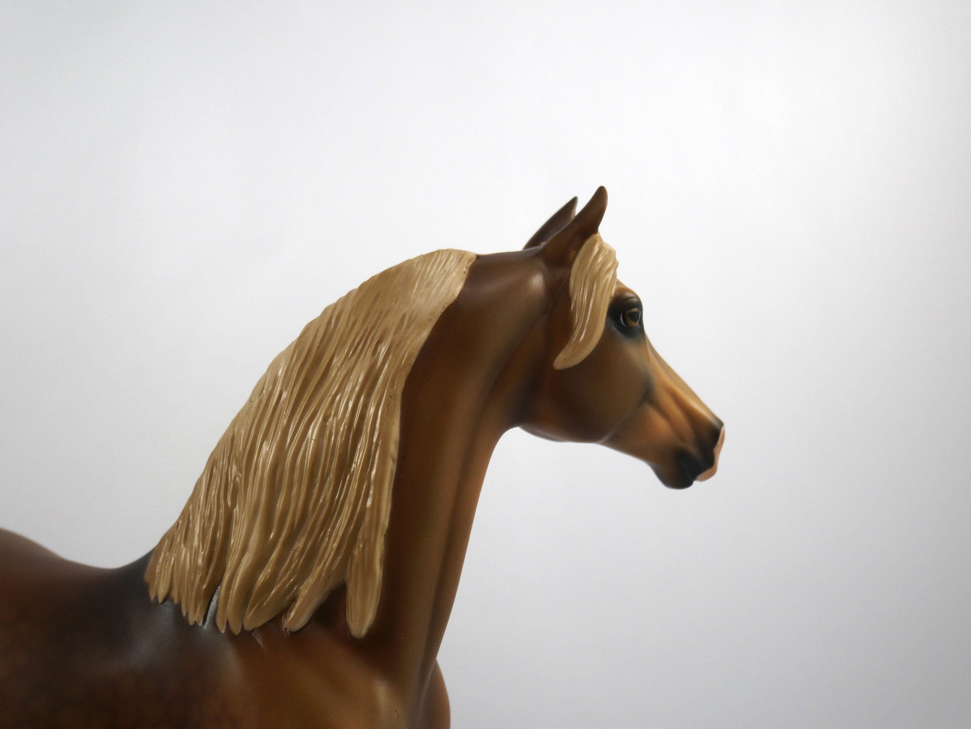 Brees-LE-15 Dapple Chestnut Morgan SB21