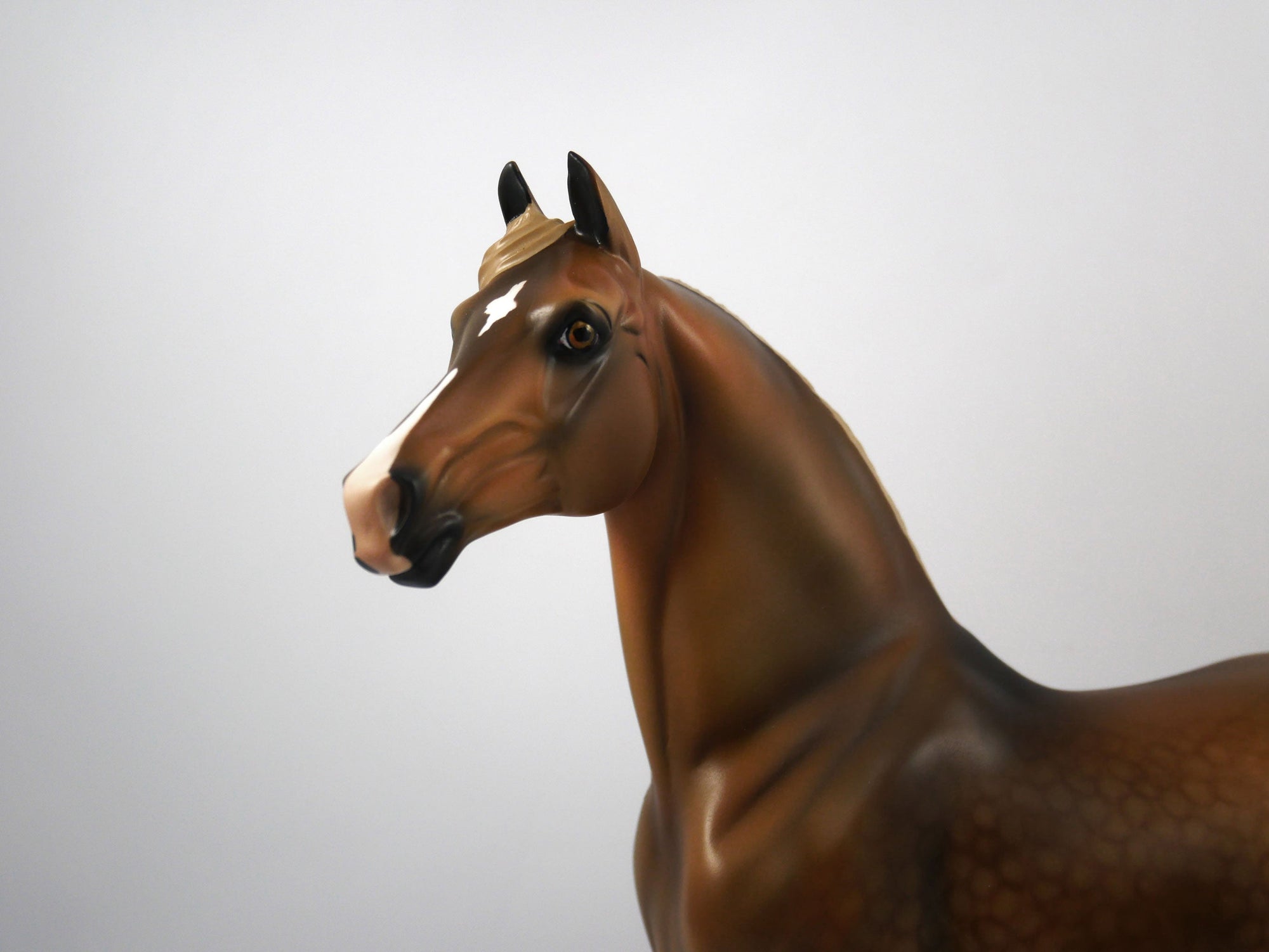 Brees-LE-15 Dapple Chestnut Morgan SB21