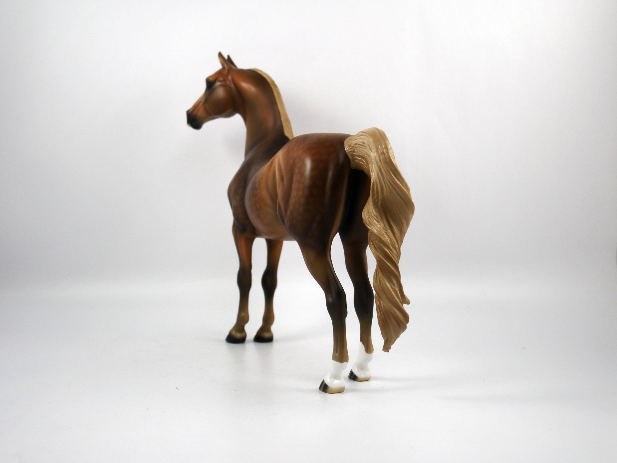 Brees-LE-15 Dapple Chestnut Morgan SB21