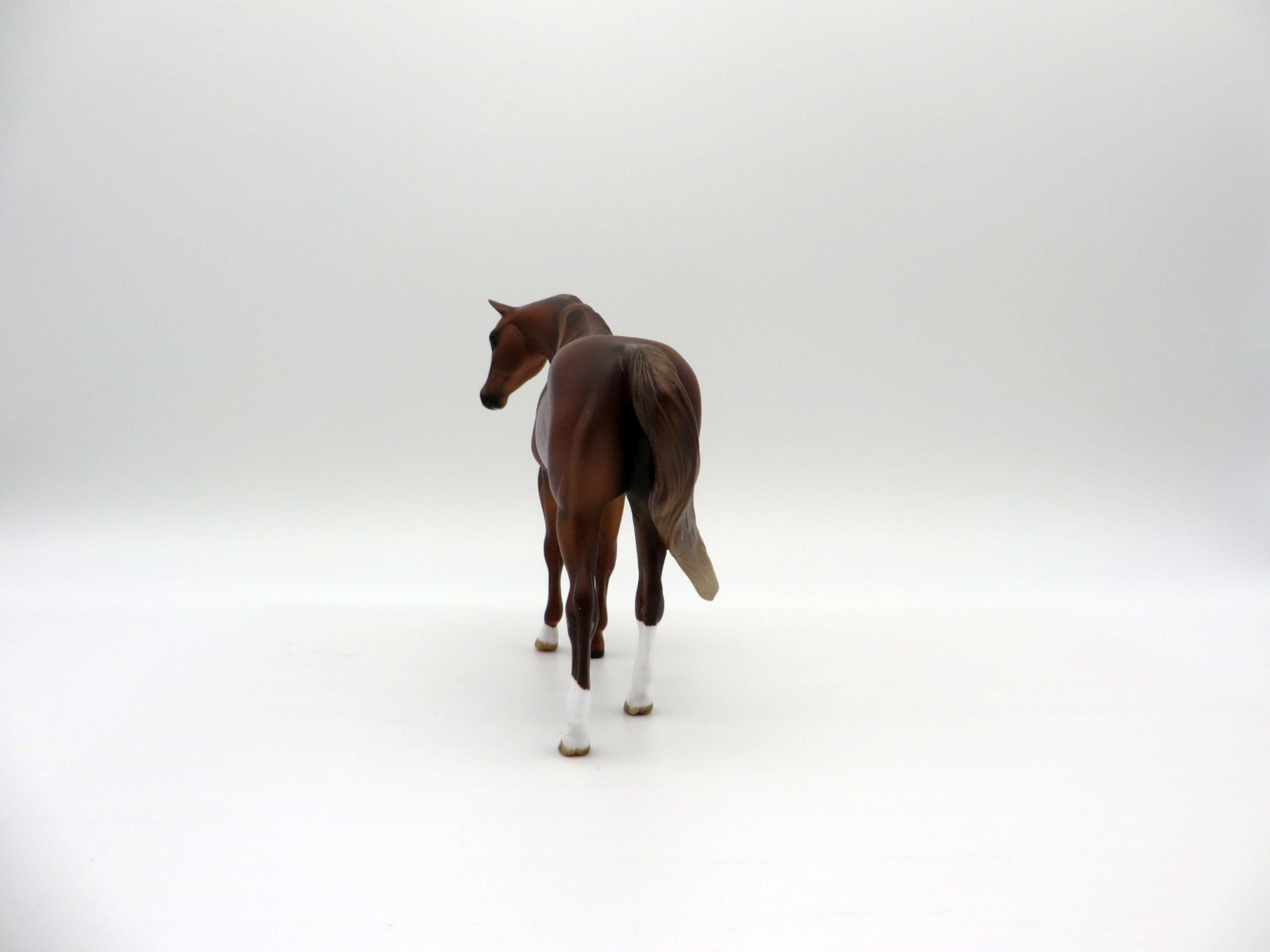 Breeze-OOAK Chestnut Rabicano Pebbles Arabian  SHCF 2021