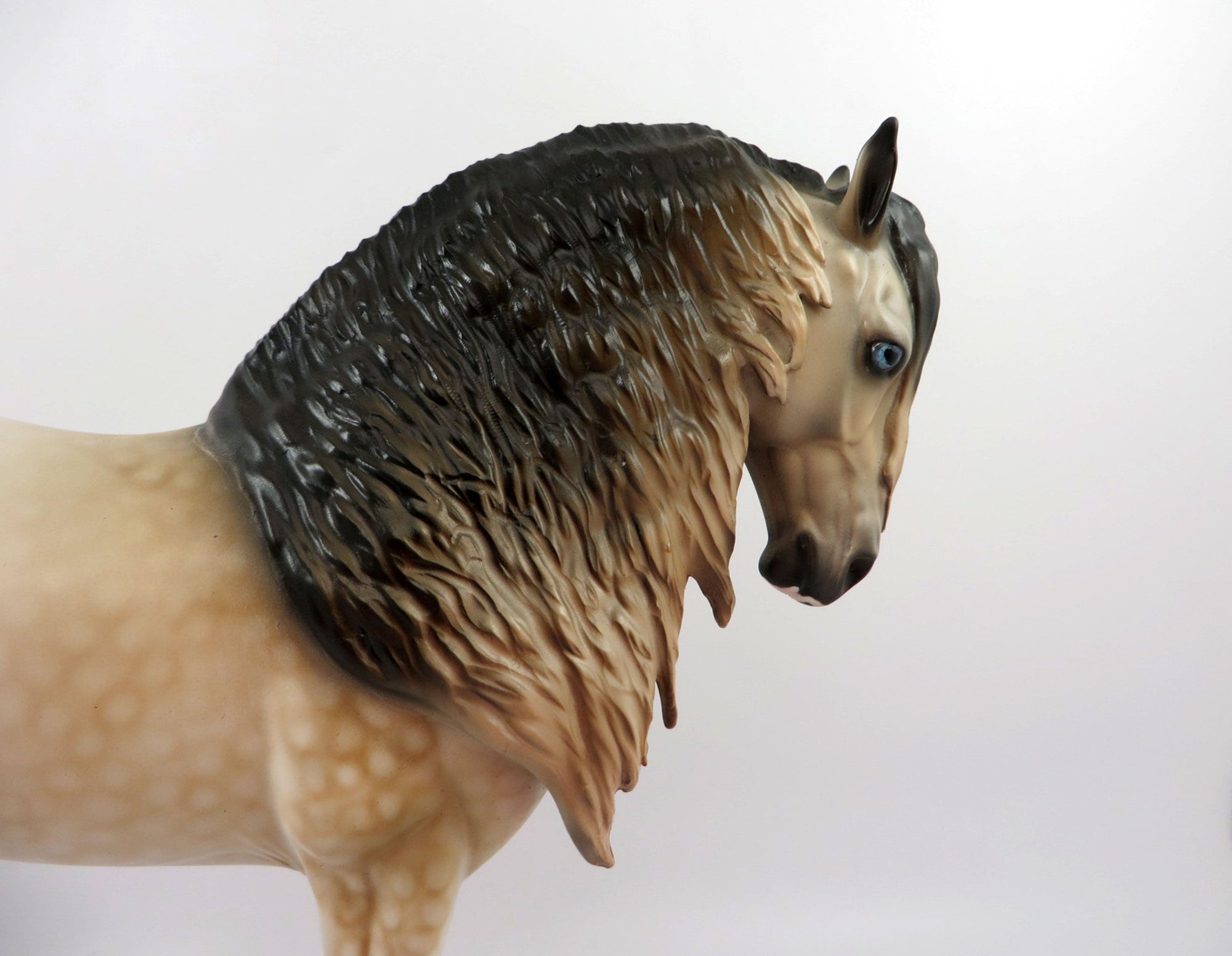 Brendan-OOAK Dapple Buckskin Andalusian By Dawn Quick 3/12/21
