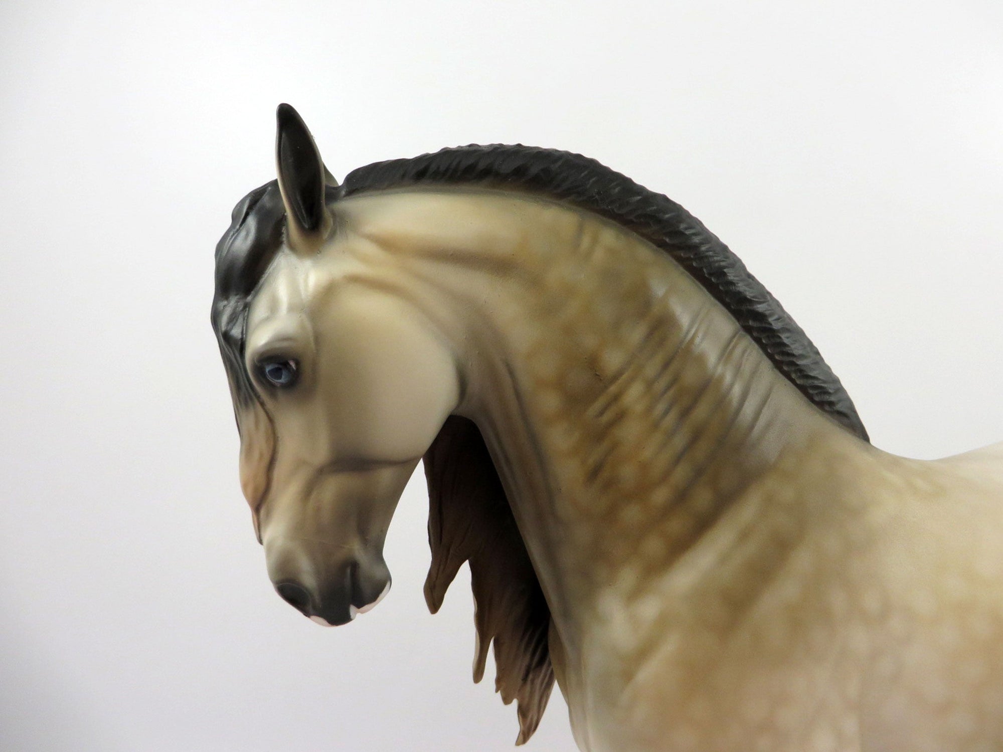 Brendan-OOAK Dapple Buckskin Andalusian By Dawn Quick 3/12/21