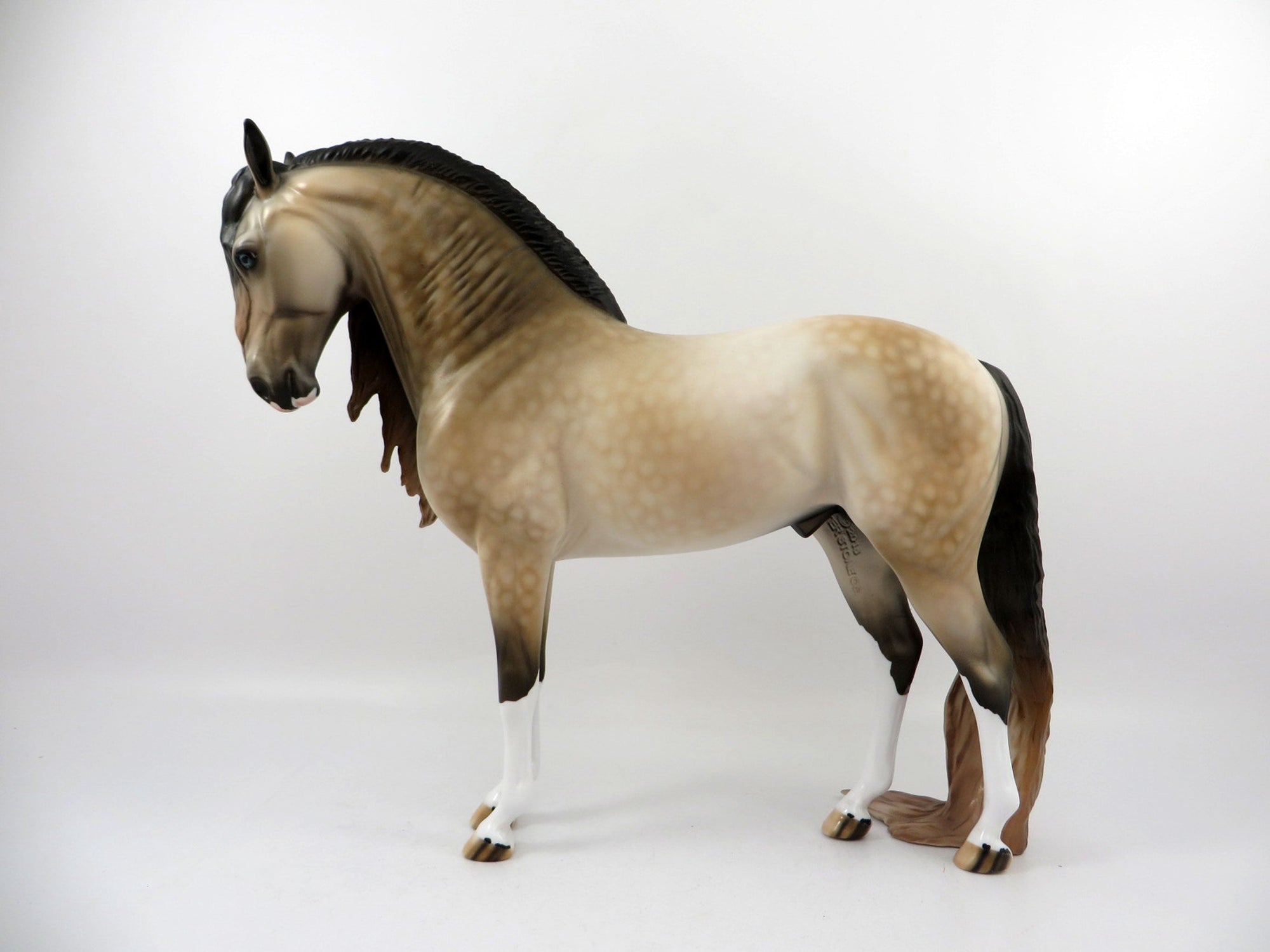 Brendan-OOAK Dapple Buckskin Andalusian By Dawn Quick 3/12/21