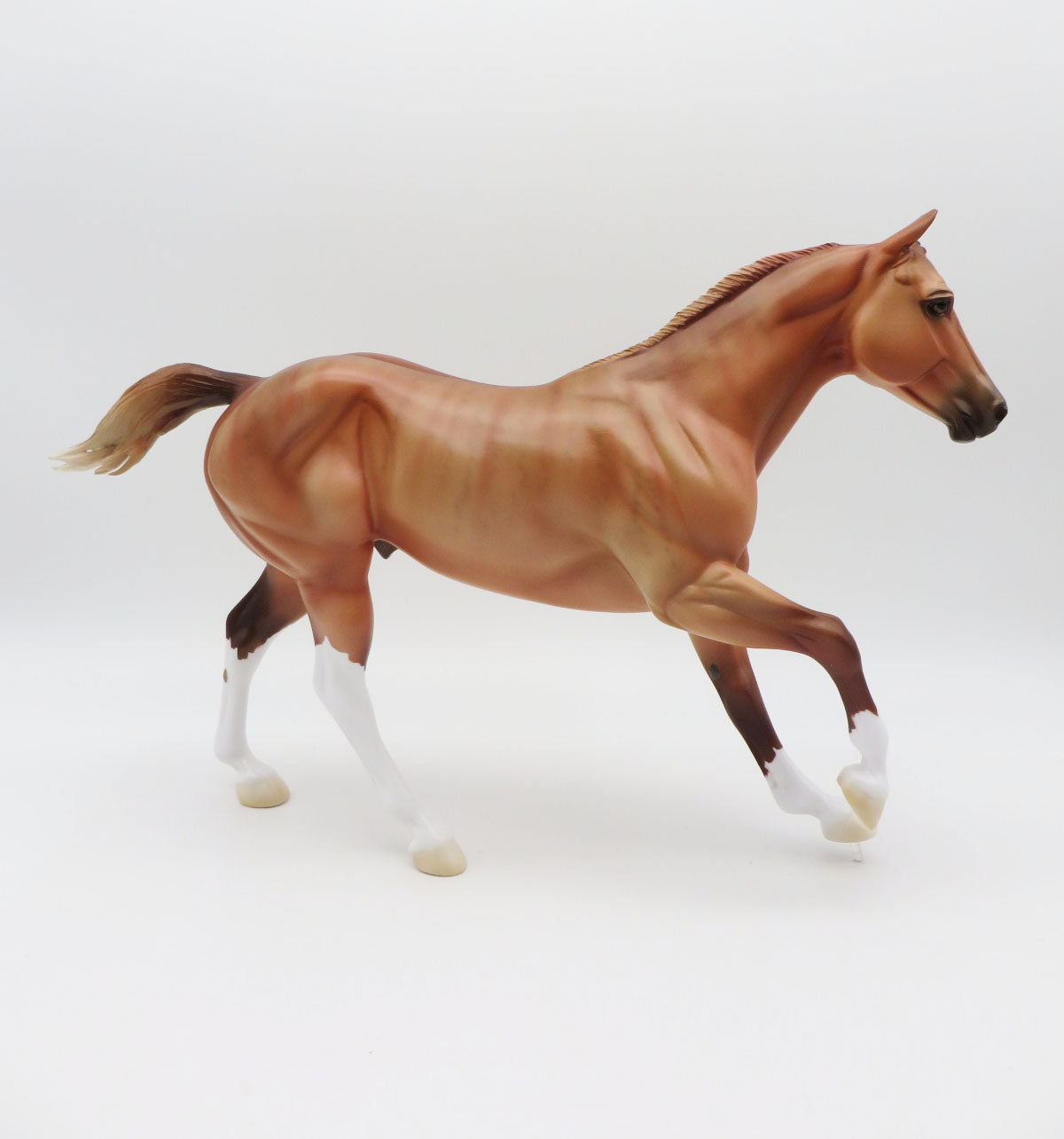 The Brindled Bandit-LE 30- FQH - AOTH 22 By Ellen Robbins