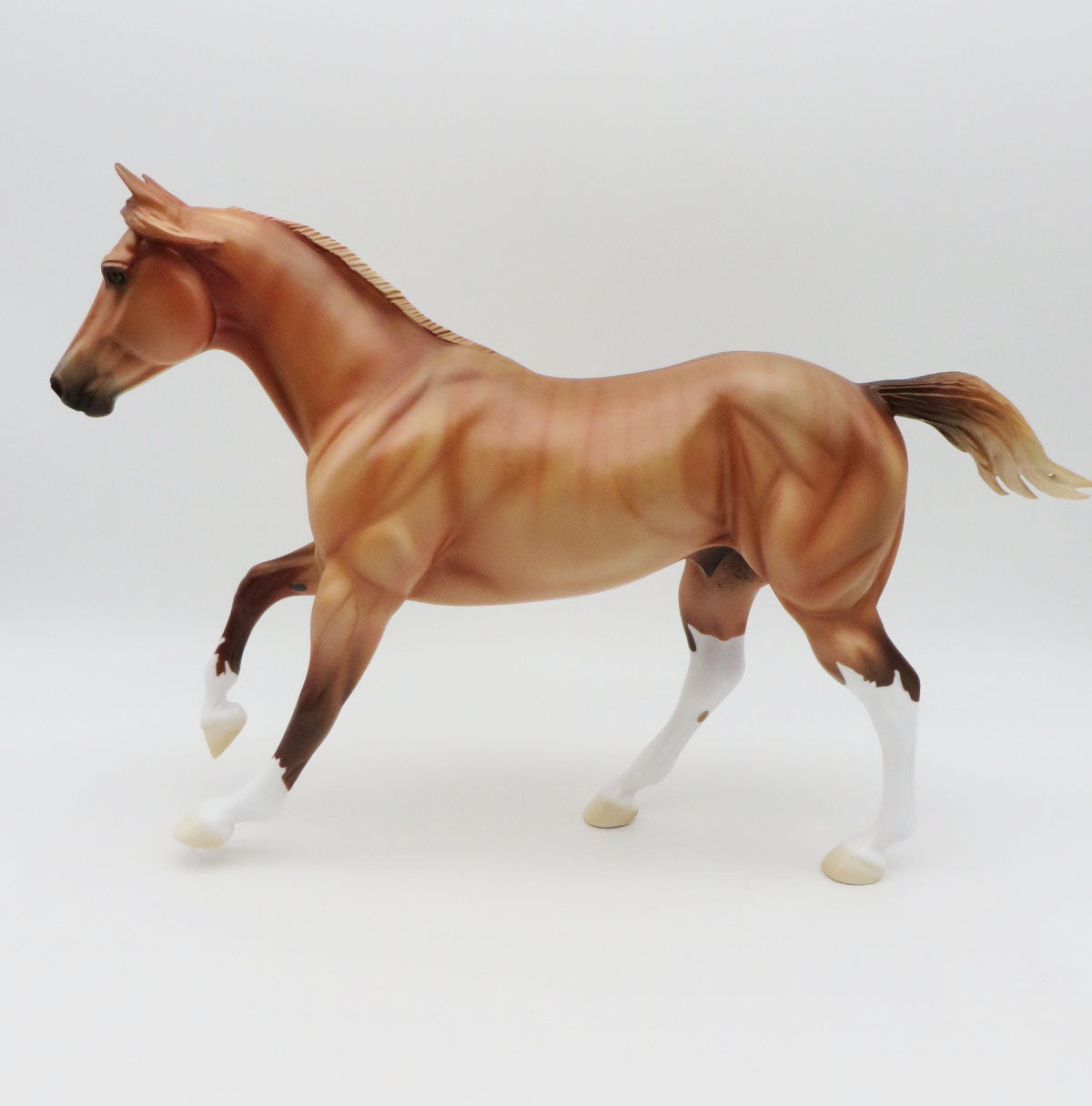 The Brindled Bandit-LE 30- FQH - AOTH 22 By Ellen Robbins