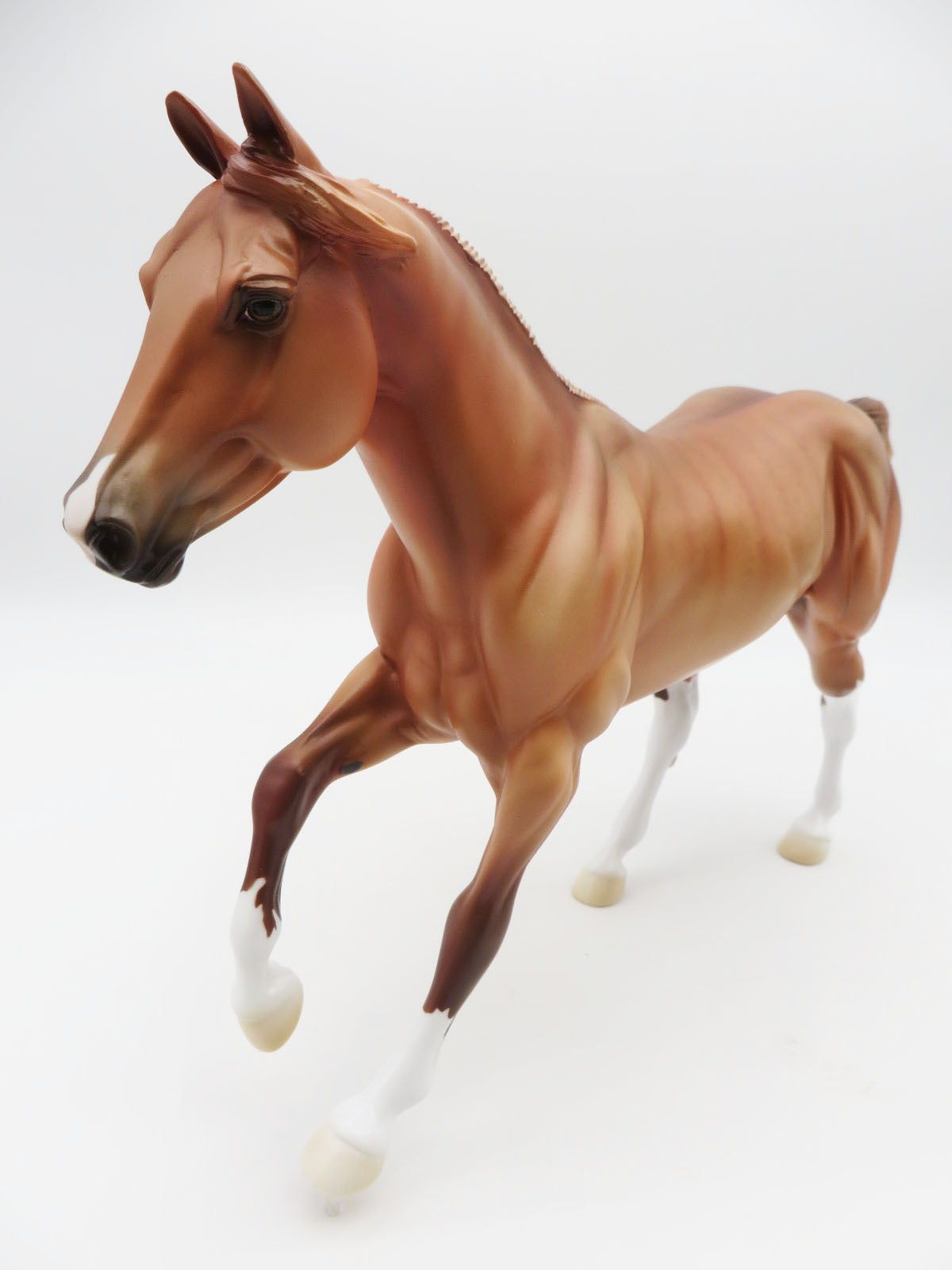 The Brindled Bandit-LE 30- FQH - AOTH 22 By Ellen Robbins