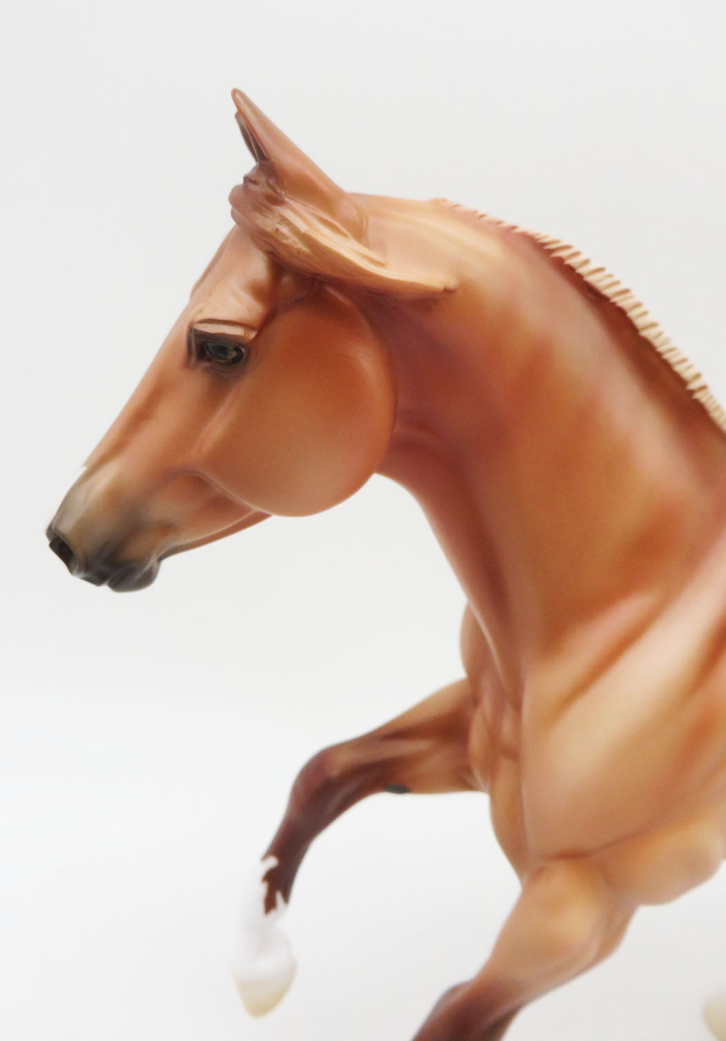 The Brindled Bandit-LE 30- FQH - AOTH 22 By Ellen Robbins