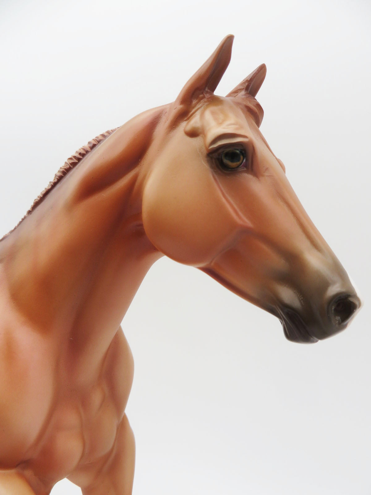 The Brindled Bandit-LE 30- FQH - AOTH 22 By Ellen Robbins