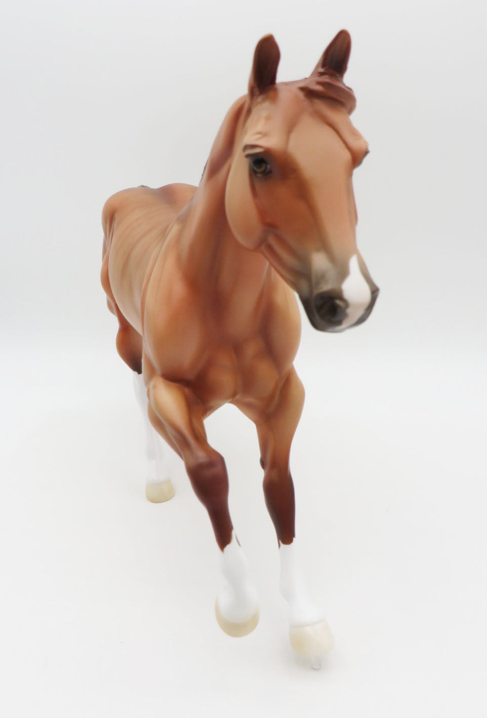 The Brindled Bandit-LE 30- FQH - AOTH 22 By Ellen Robbins