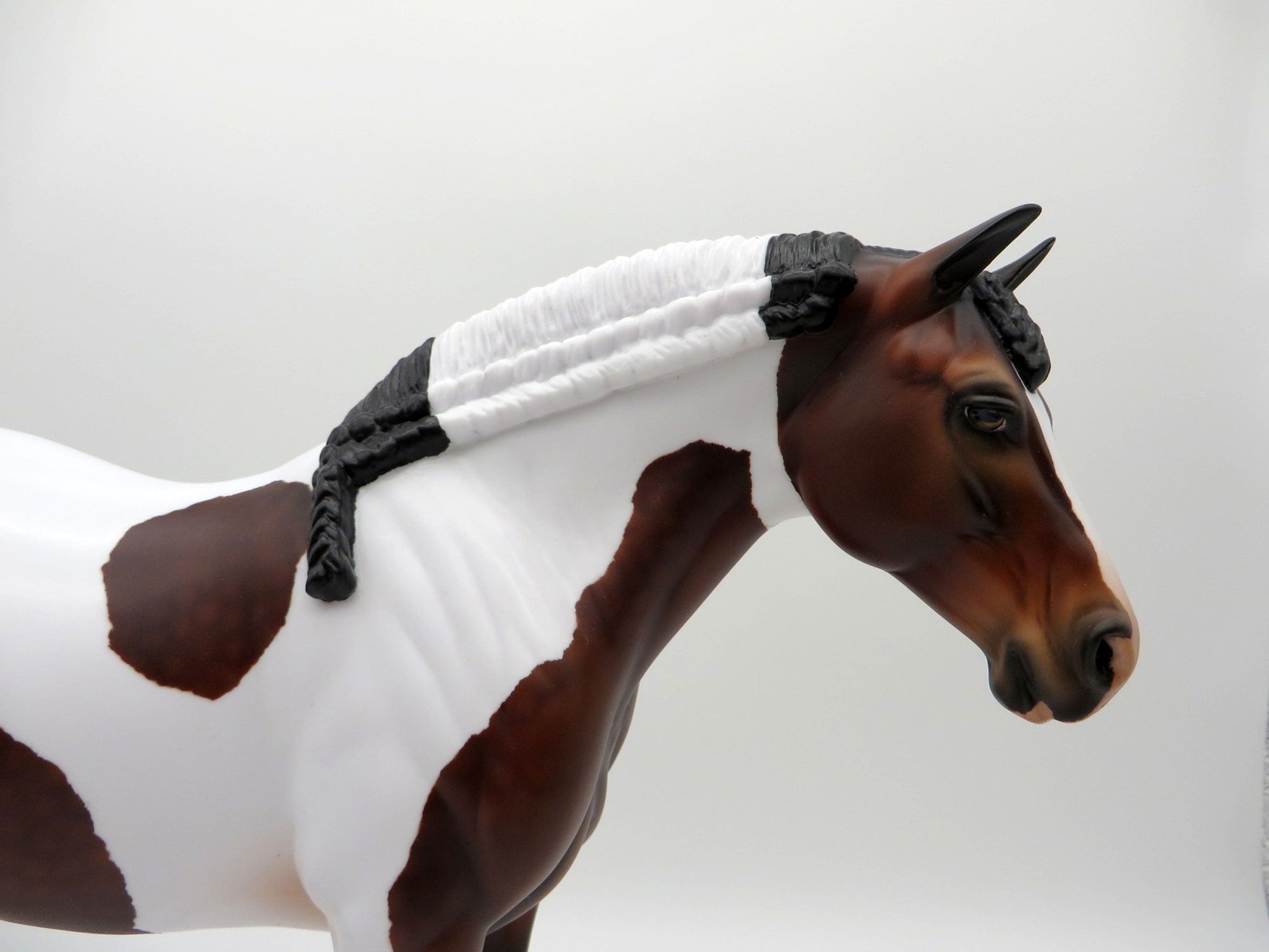 Brisa-OOAK Dapple Bay Paint Heavy Draft Mare SHCF 2021