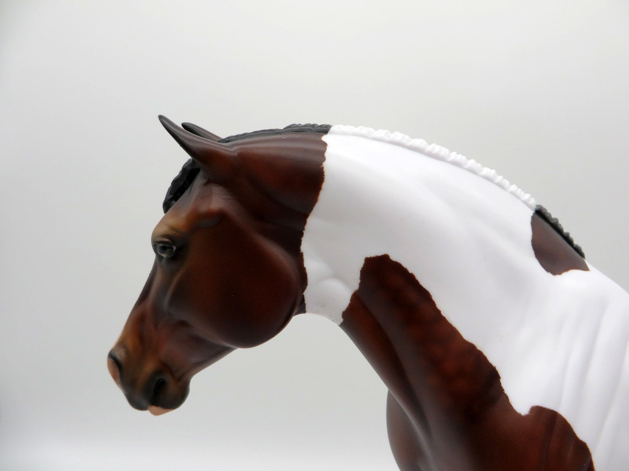 Brisa-OOAK Dapple Bay Paint Heavy Draft Mare SHCF 2021