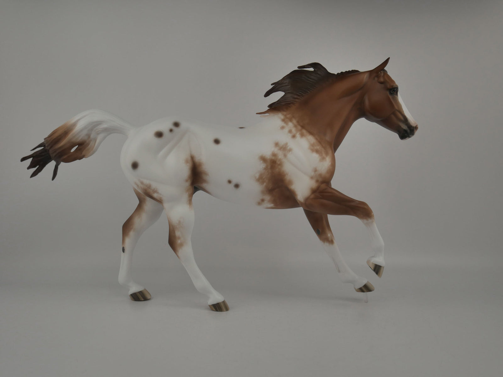 Brogen-Chestnut Appaloosa Running Quarter Horse  By Sheryl Leisure 12/21/20