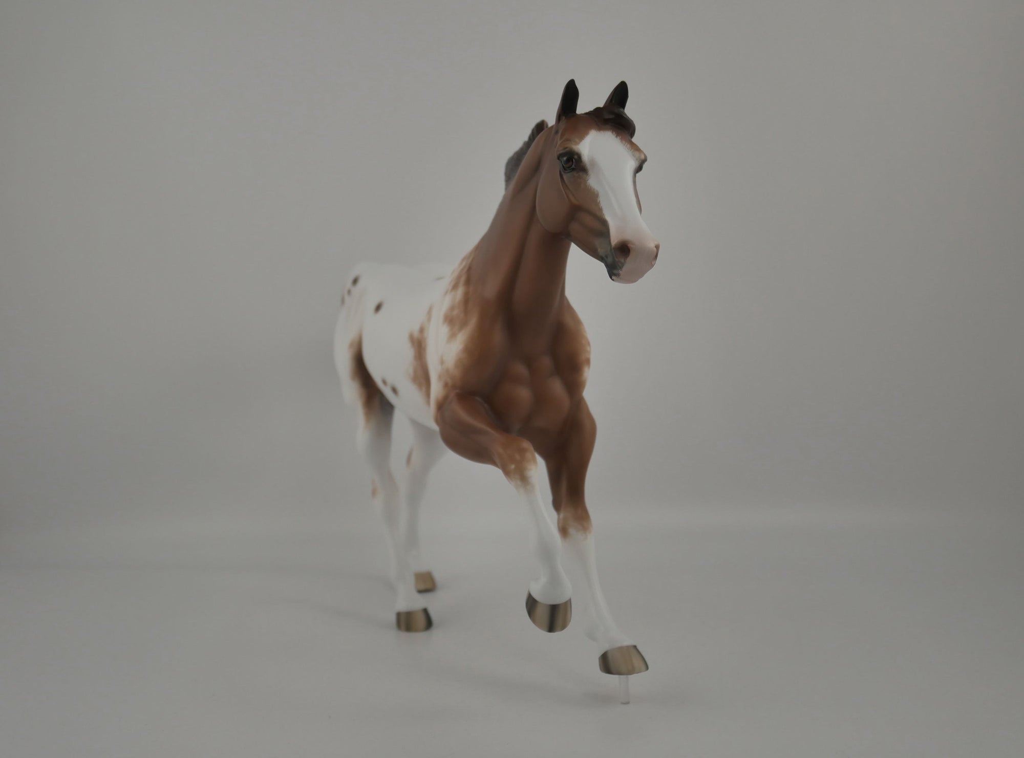 Brogen-Chestnut Appaloosa Running Quarter Horse  By Sheryl Leisure 12/21/20