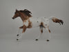 Brogen-Chestnut Appaloosa Running Quarter Horse  By Sheryl Leisure 12/21/20