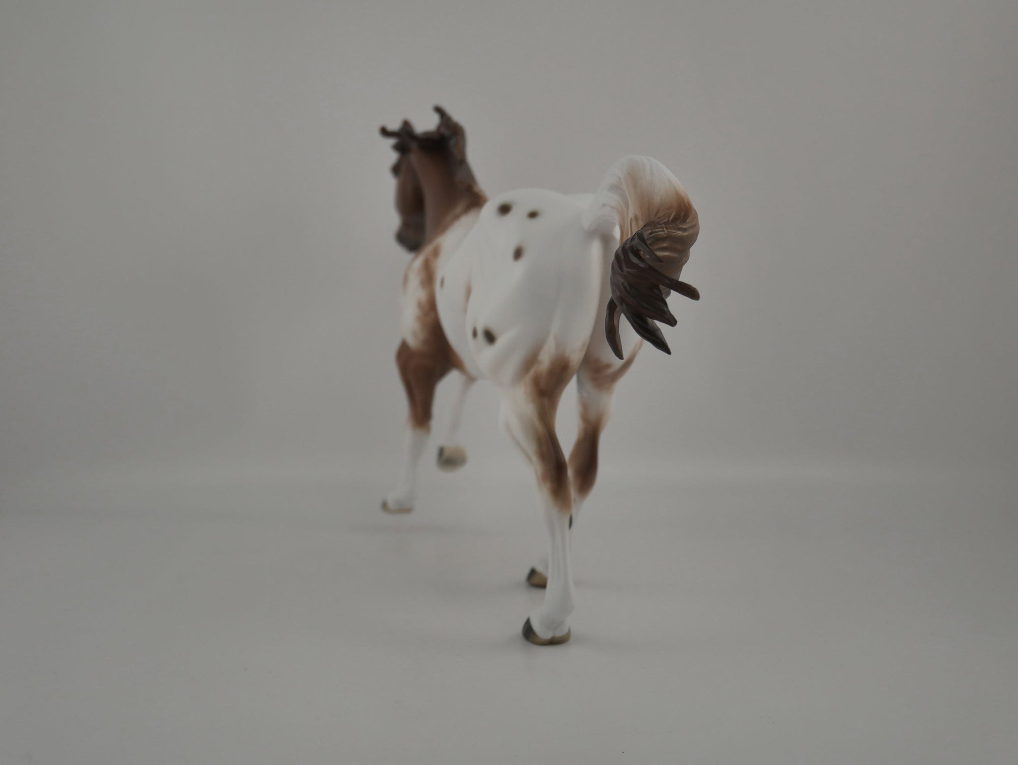 Brogen-Chestnut Appaloosa Running Quarter Horse  By Sheryl Leisure 12/21/20