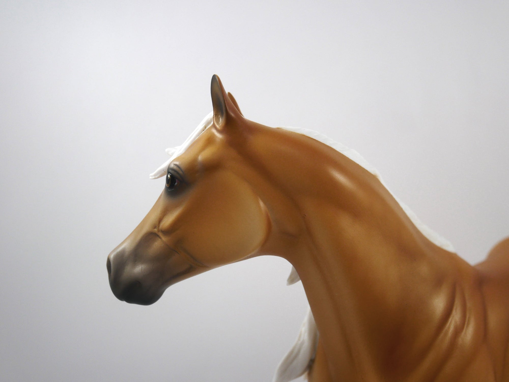 Bronco-OOAK Dapple Palomino ISH  SB21