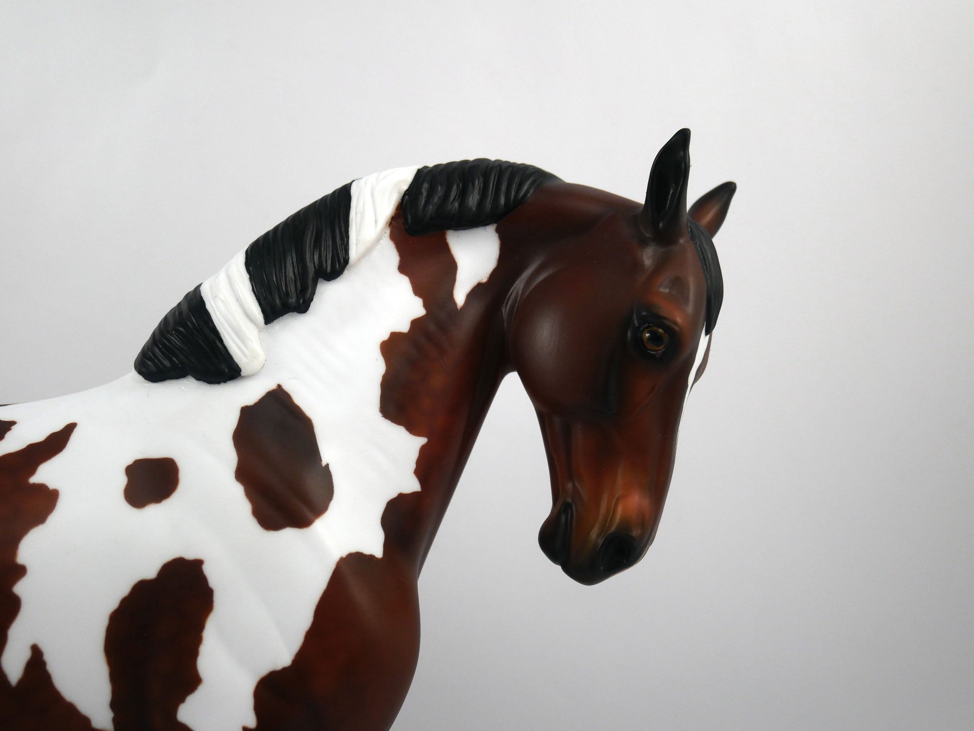 Buccaneer-OOAK Dapple Bay Paint Andalusian Painted by Audrey Dixon SB21