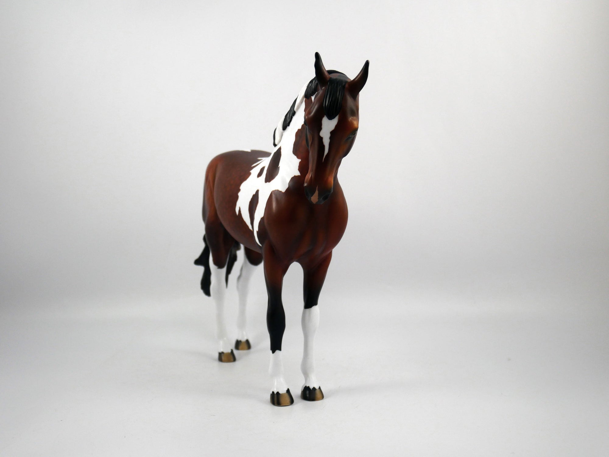 Buccaneer-OOAK Dapple Bay Paint Andalusian Painted by Audrey Dixon SB21