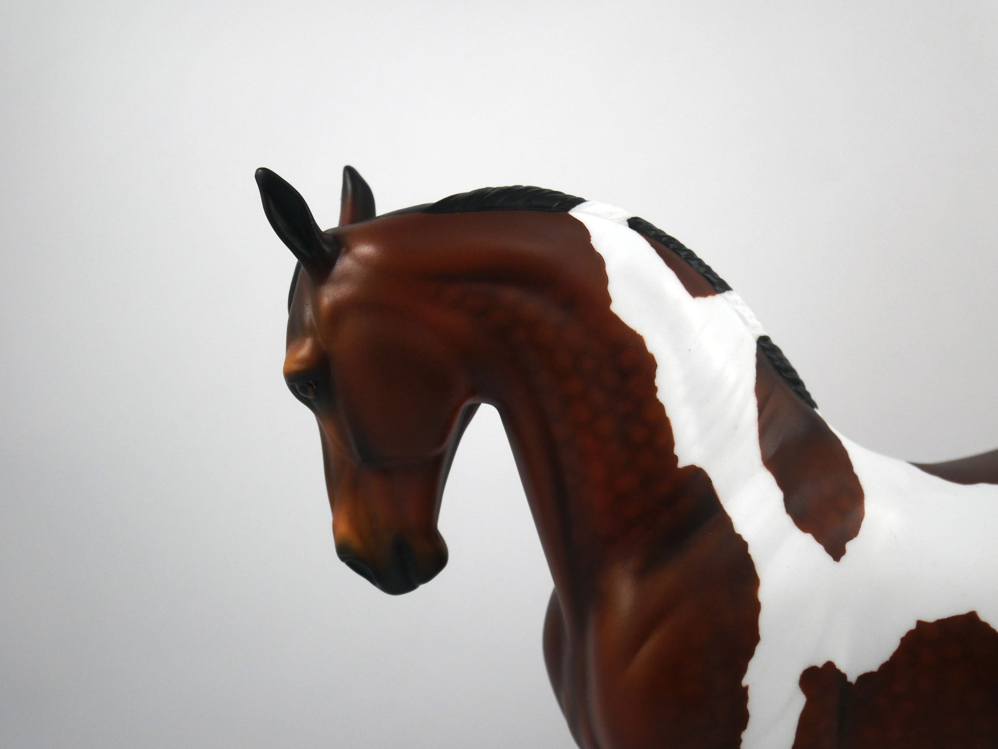 Buccaneer-OOAK Dapple Bay Paint Andalusian Painted by Audrey Dixon SB21