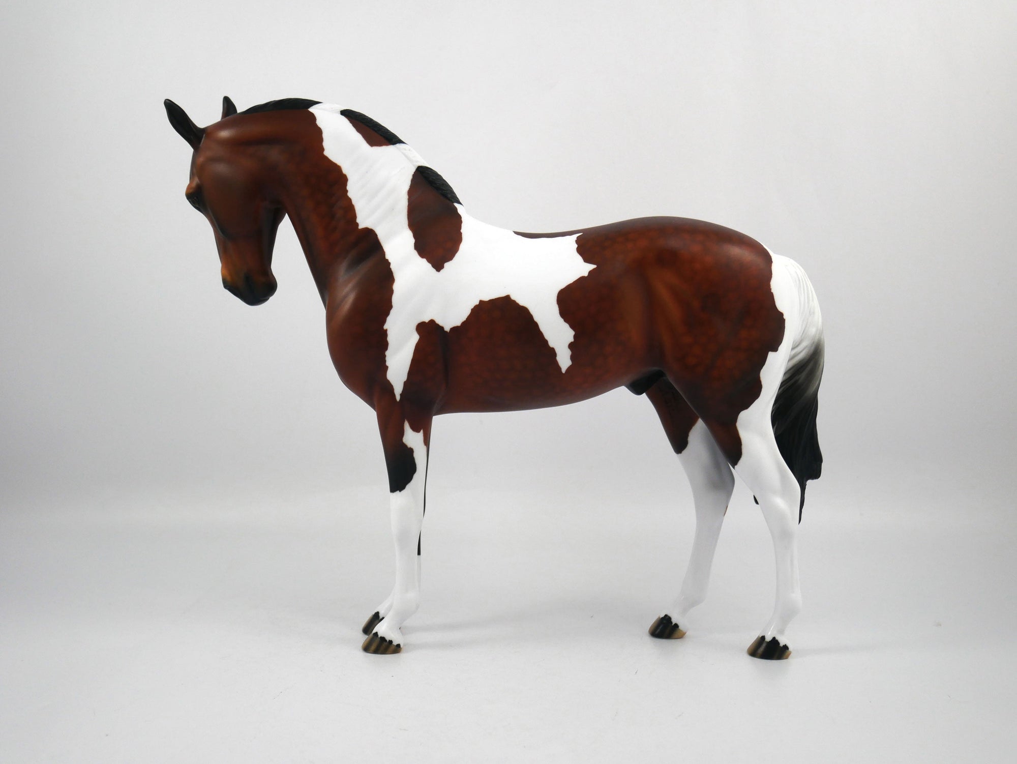 Buccaneer-OOAK Dapple Bay Paint Andalusian Painted by Audrey Dixon SB21