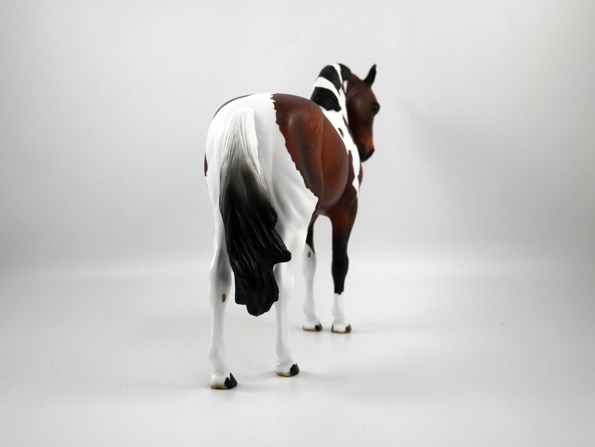 Buccaneer-OOAK Dapple Bay Paint Andalusian Painted by Audrey Dixon SB21