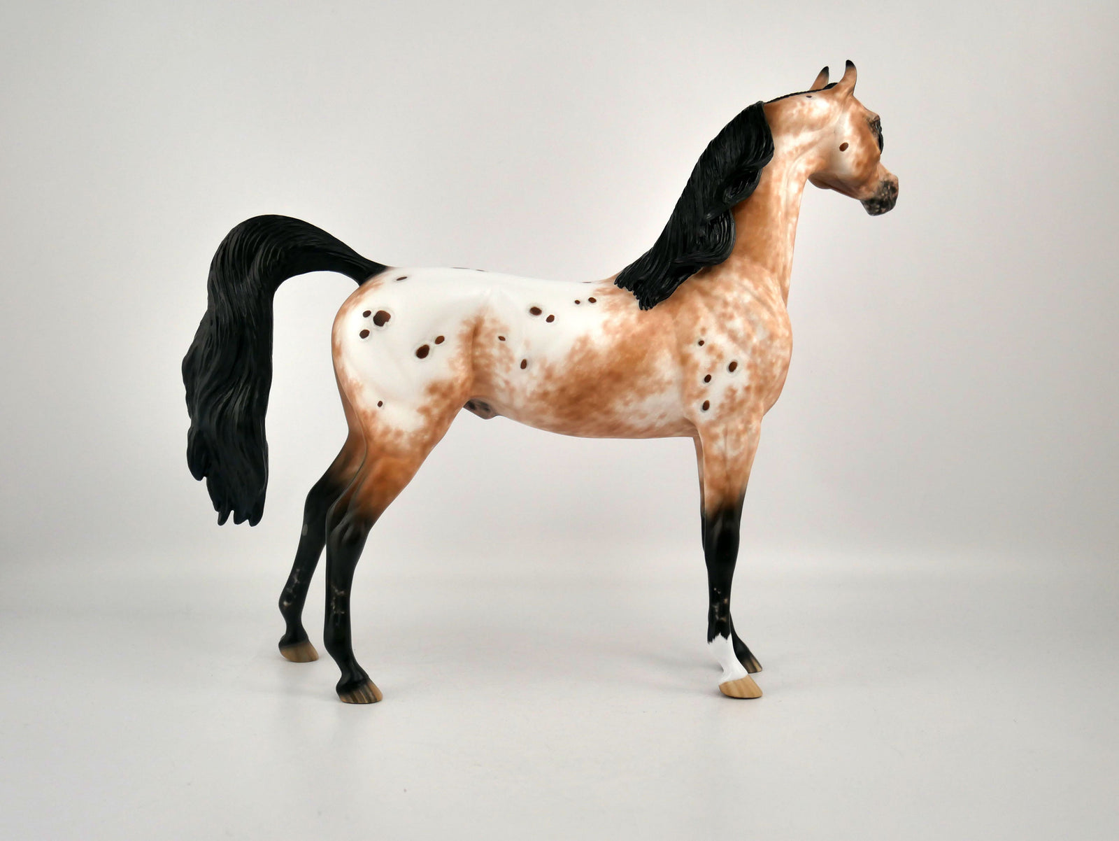 Buddy The Elf-OOAK Appaloosa Arabian By Sheryl Leisure 2/15/20