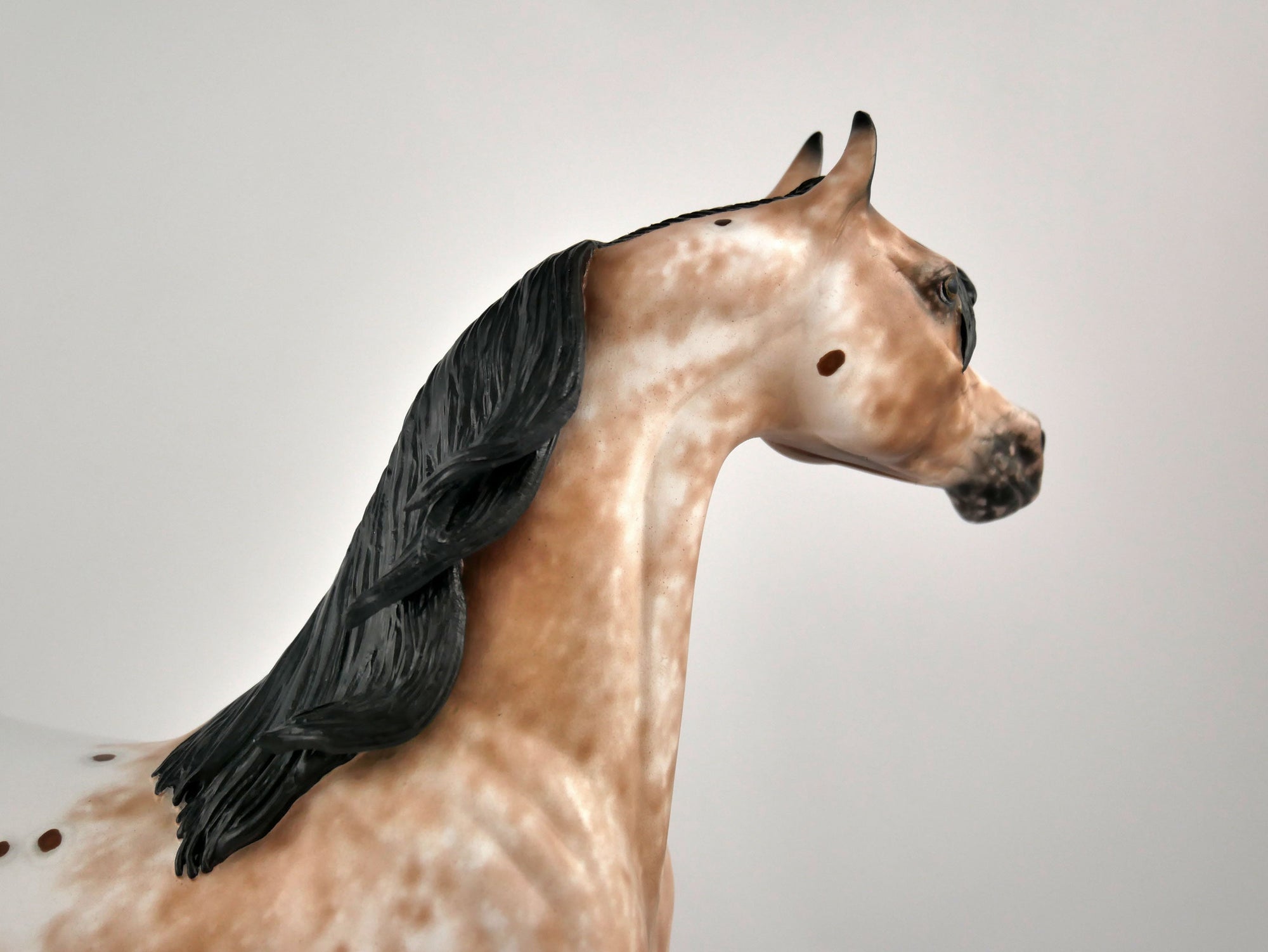 Buddy The Elf-OOAK Appaloosa Arabian By Sheryl Leisure 2/15/20