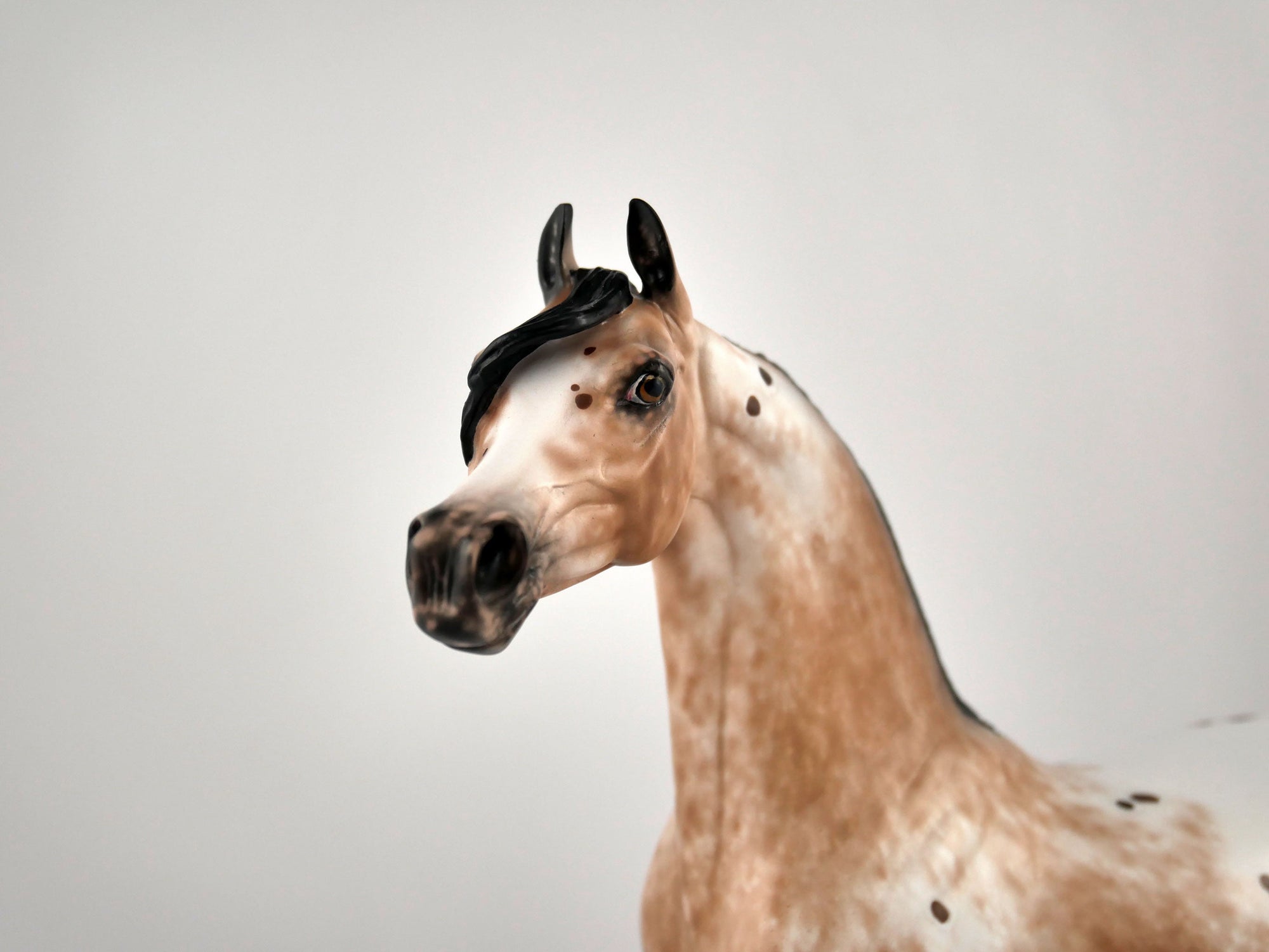 Buddy The Elf-OOAK Appaloosa Arabian By Sheryl Leisure 2/15/20