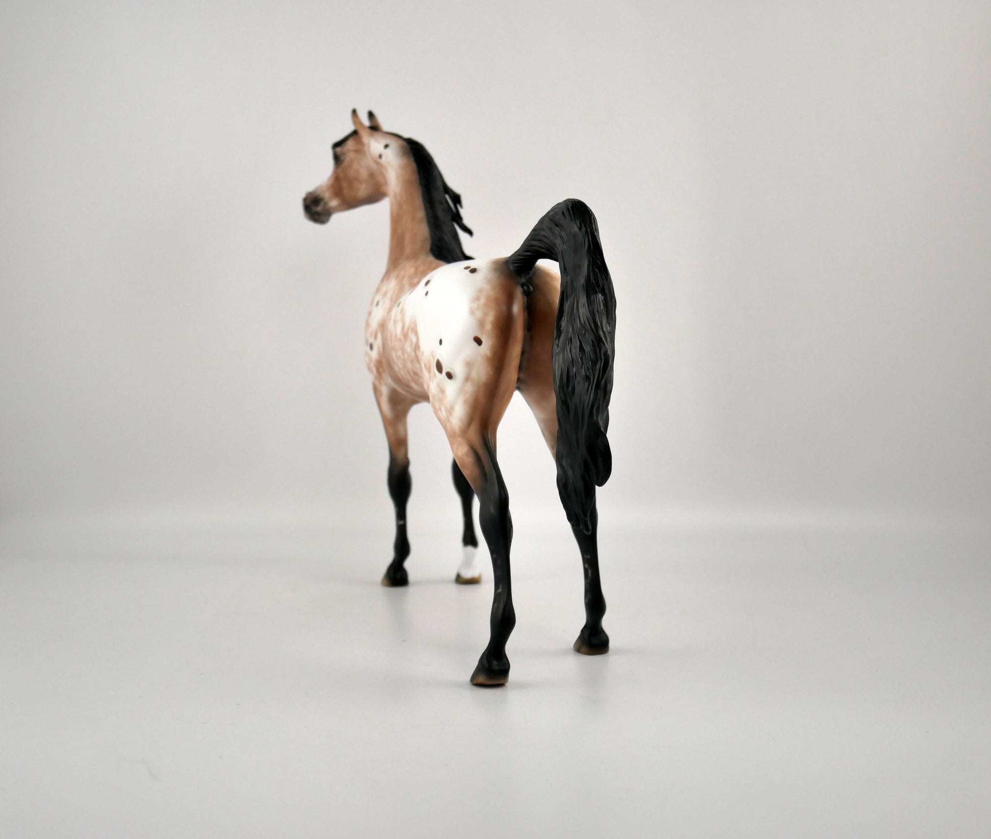 Buddy The Elf-OOAK Appaloosa Arabian By Sheryl Leisure 2/15/20