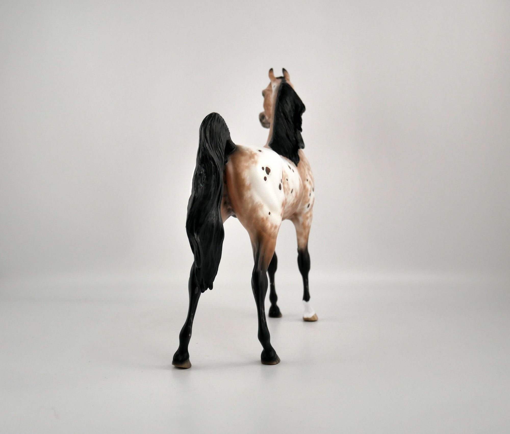 Buddy The Elf-OOAK Appaloosa Arabian By Sheryl Leisure 2/15/20