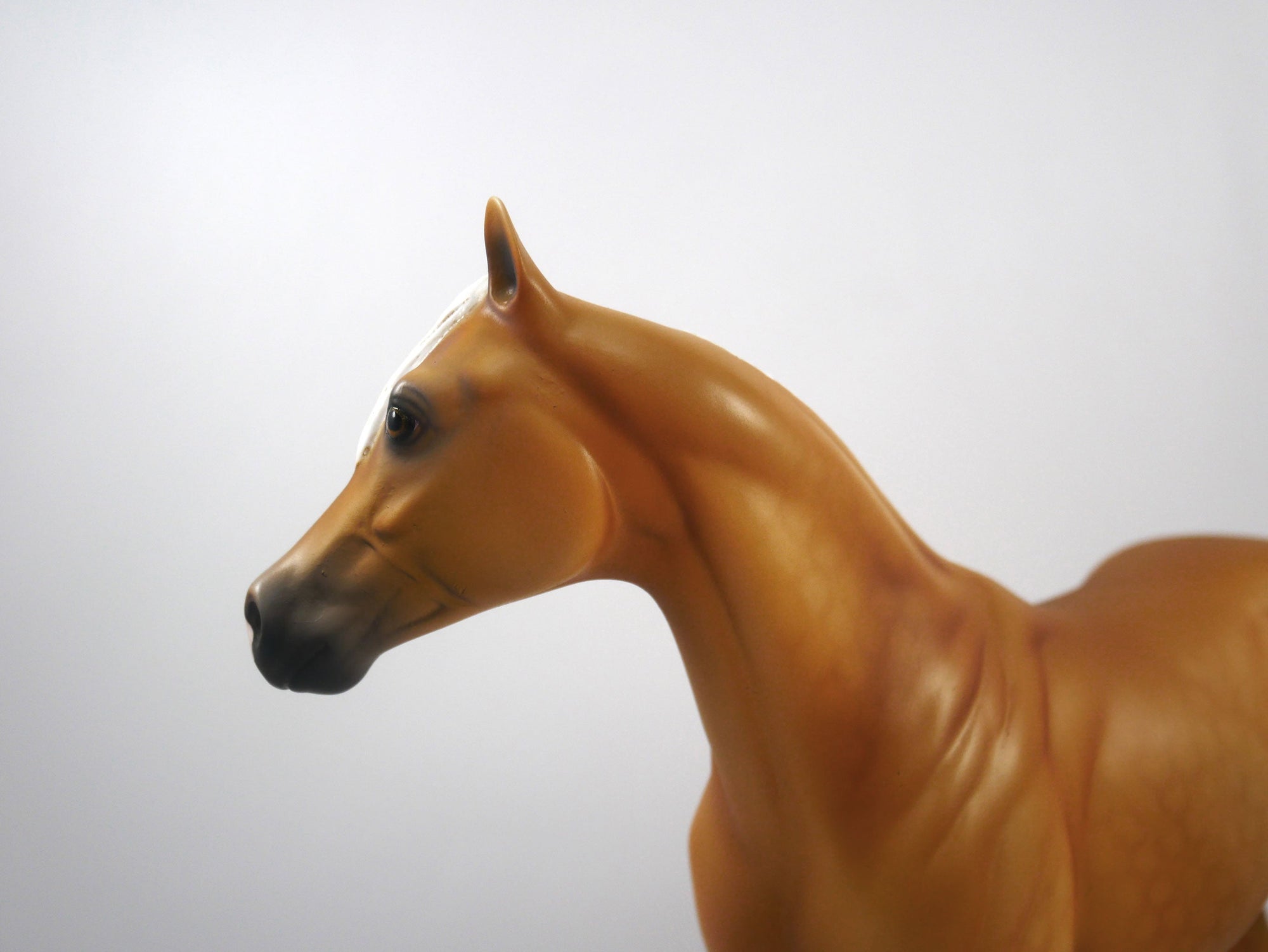 BUFFALO-OOAK Dapple Palomino ISH  SB21