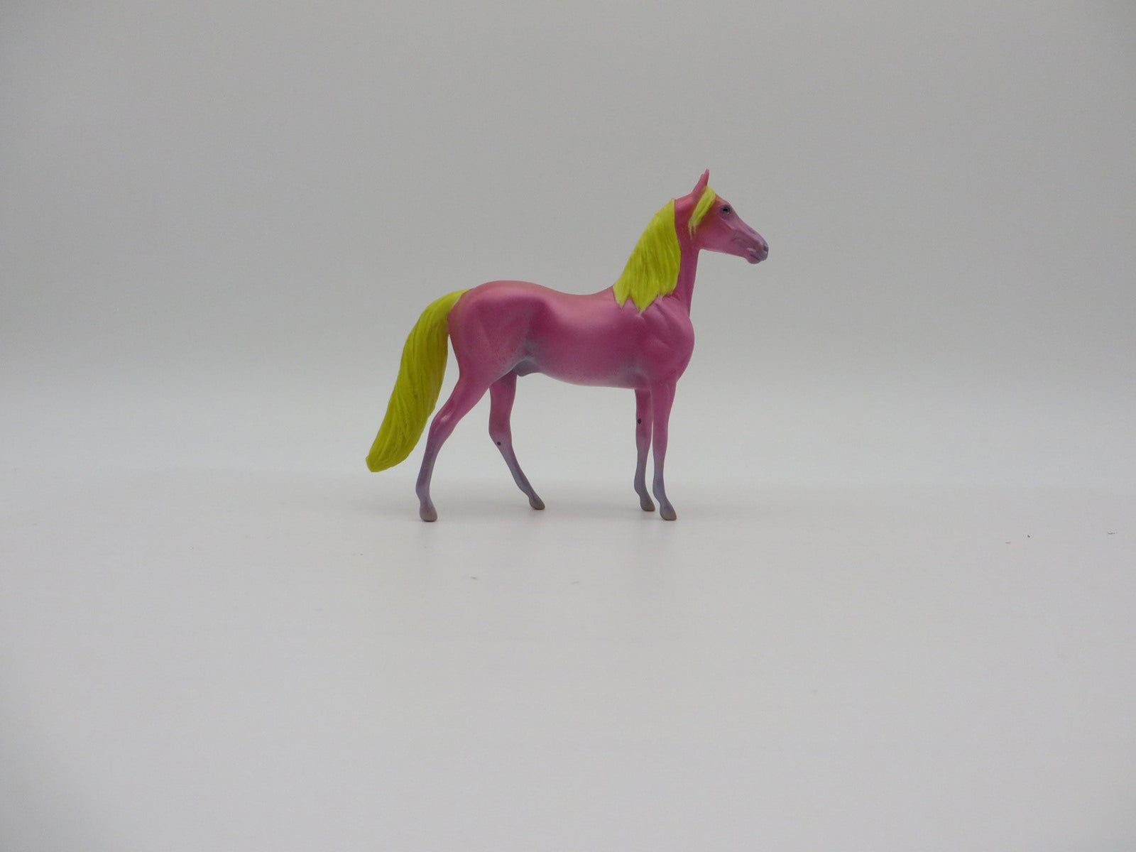 Bullockii-OOAK Shark Week Sea Slug Morgan Chip By Ellen Robbins 7/16/21