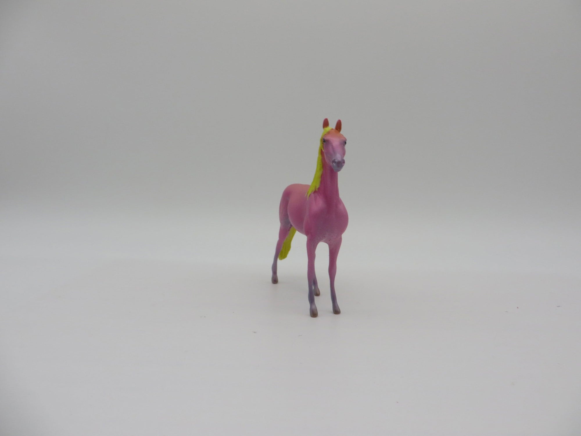 Bullockii-OOAK Shark Week Sea Slug Morgan Chip By Ellen Robbins 7/16/21